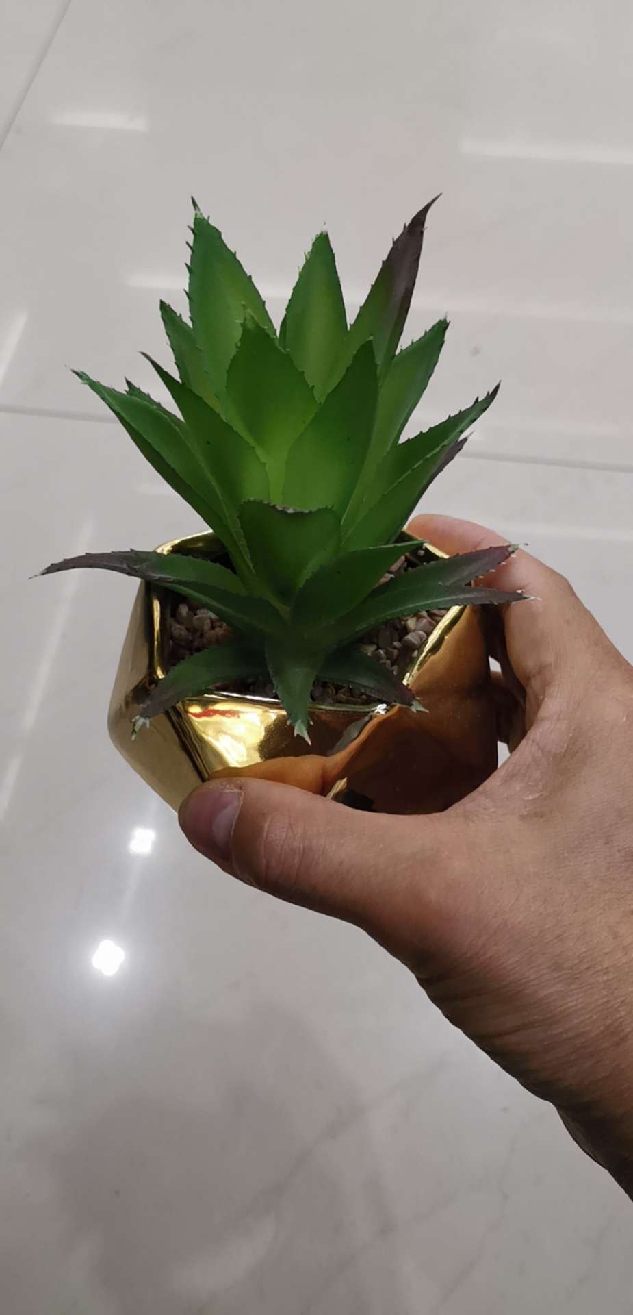 花盆容器实物图