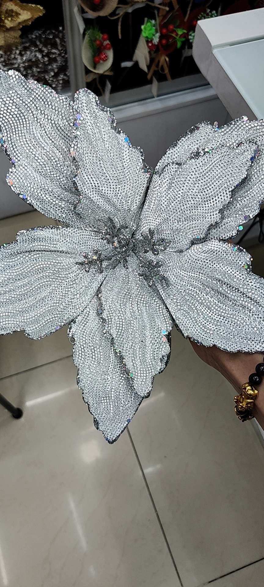 0005 details Picture