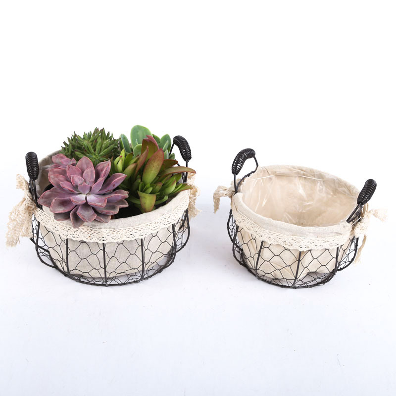 花盆、花架、育苗盘实物图