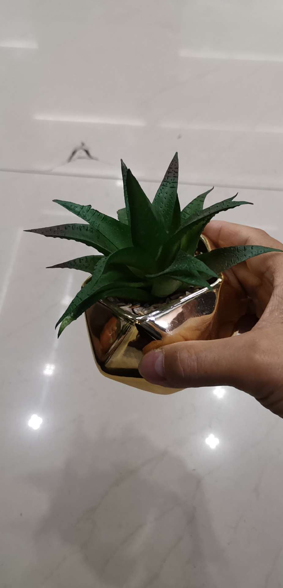 金色花盆/多肉盆景/家居摆件产品图