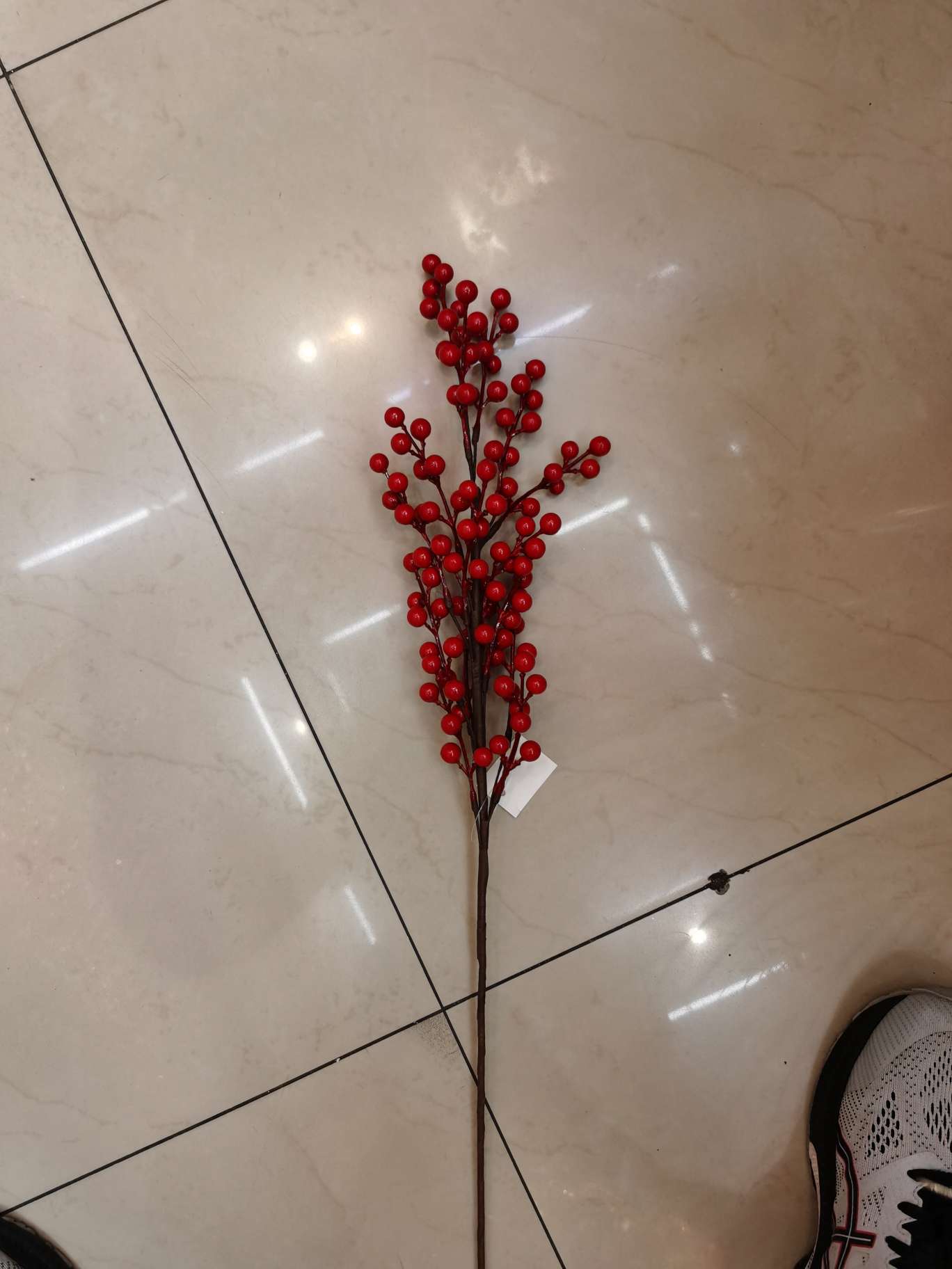 红果果