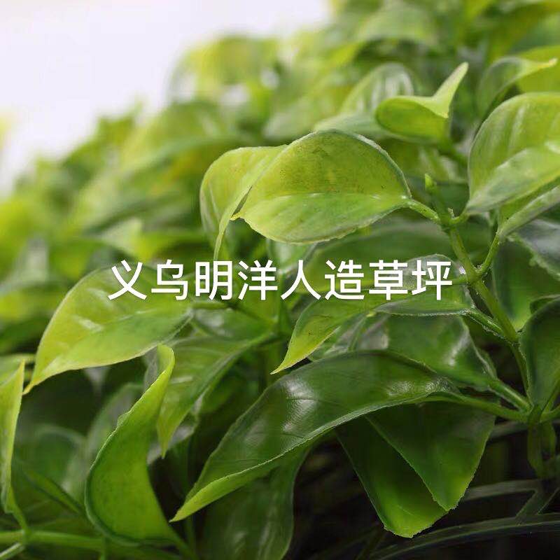 Artificial plant wall, green plant wall, plant wall, decorative wall, flower wall, background wall, interior decoration, balcony, storefront decoration, high-quality artificial grass 03 details Picture