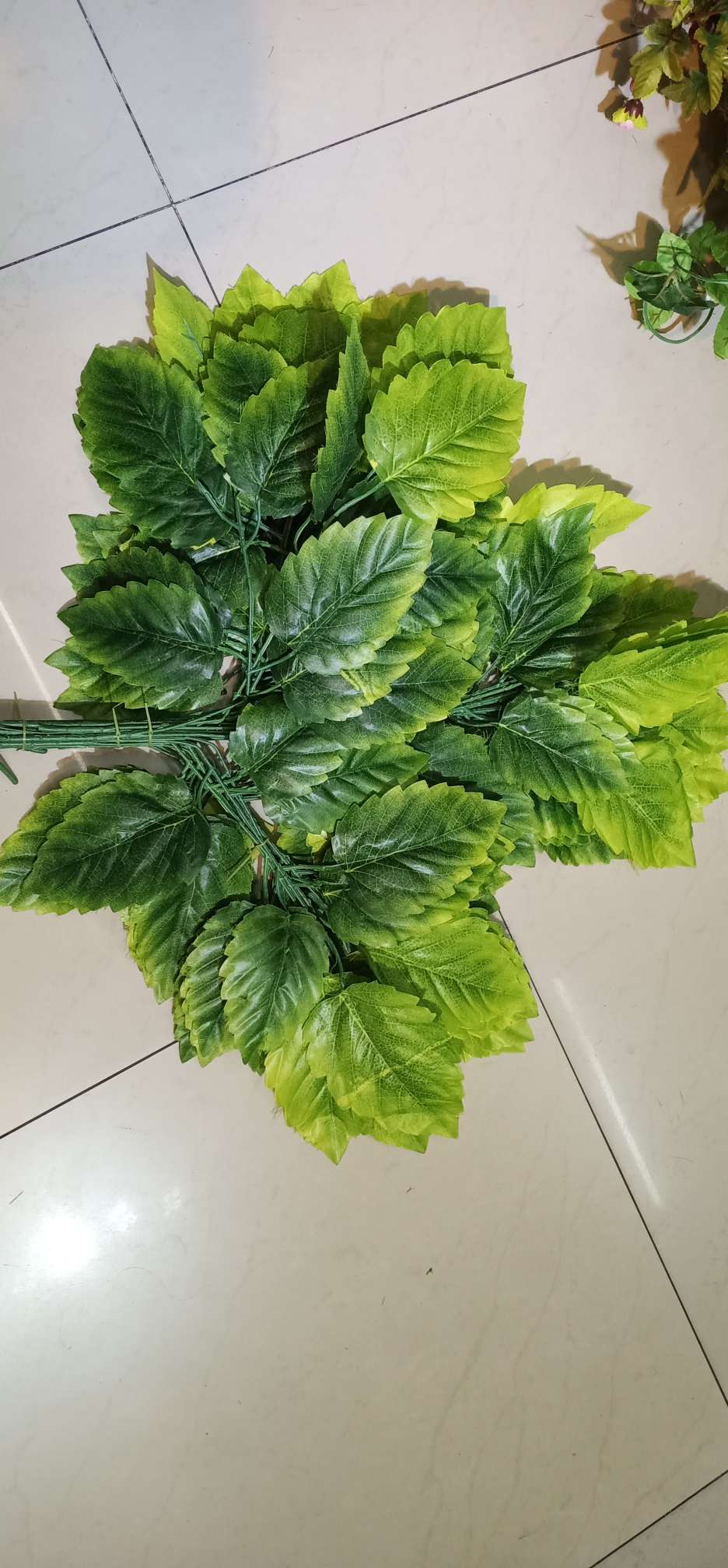 Hoja de lecho