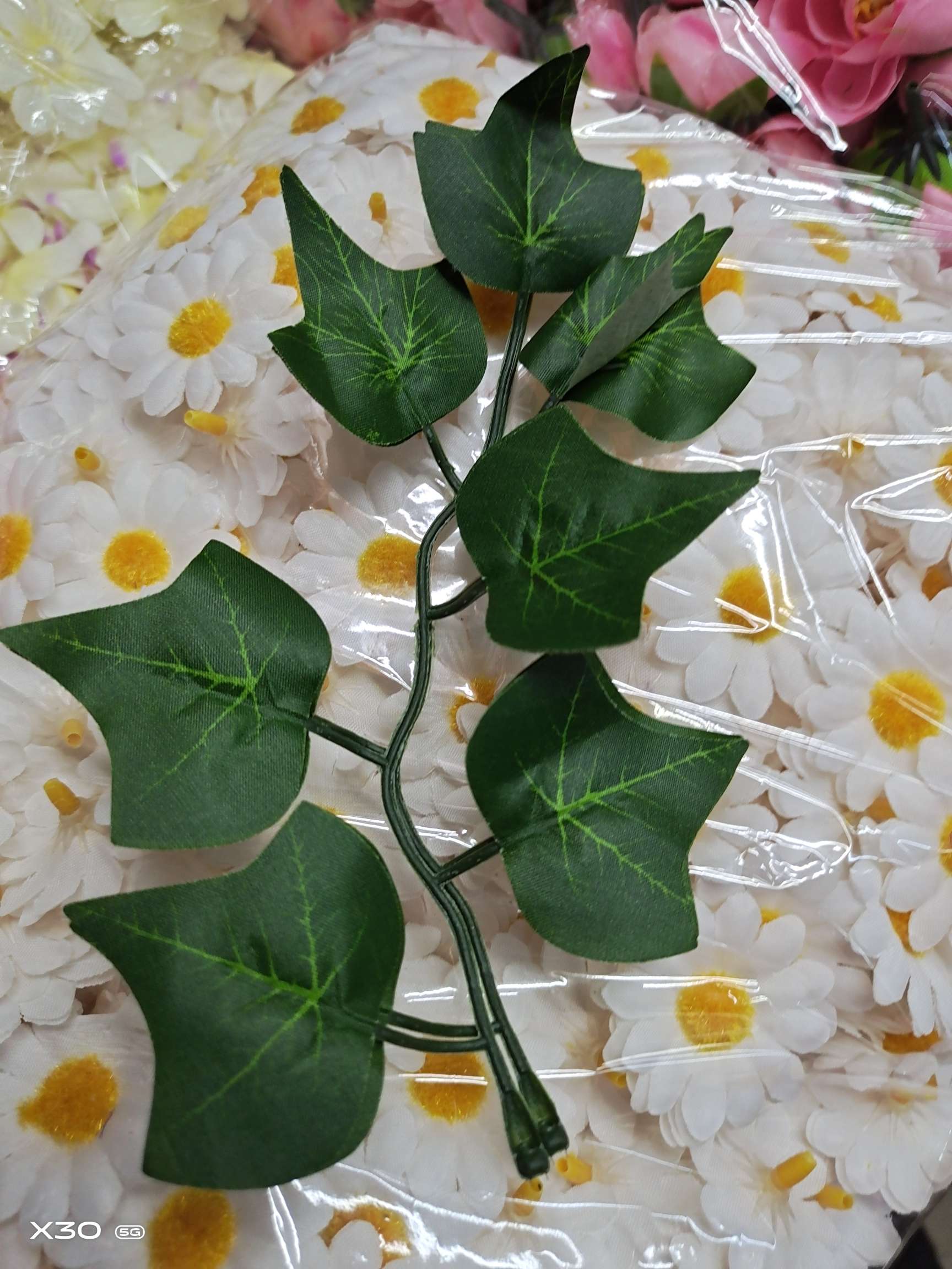 七叶丝印地瓜叶