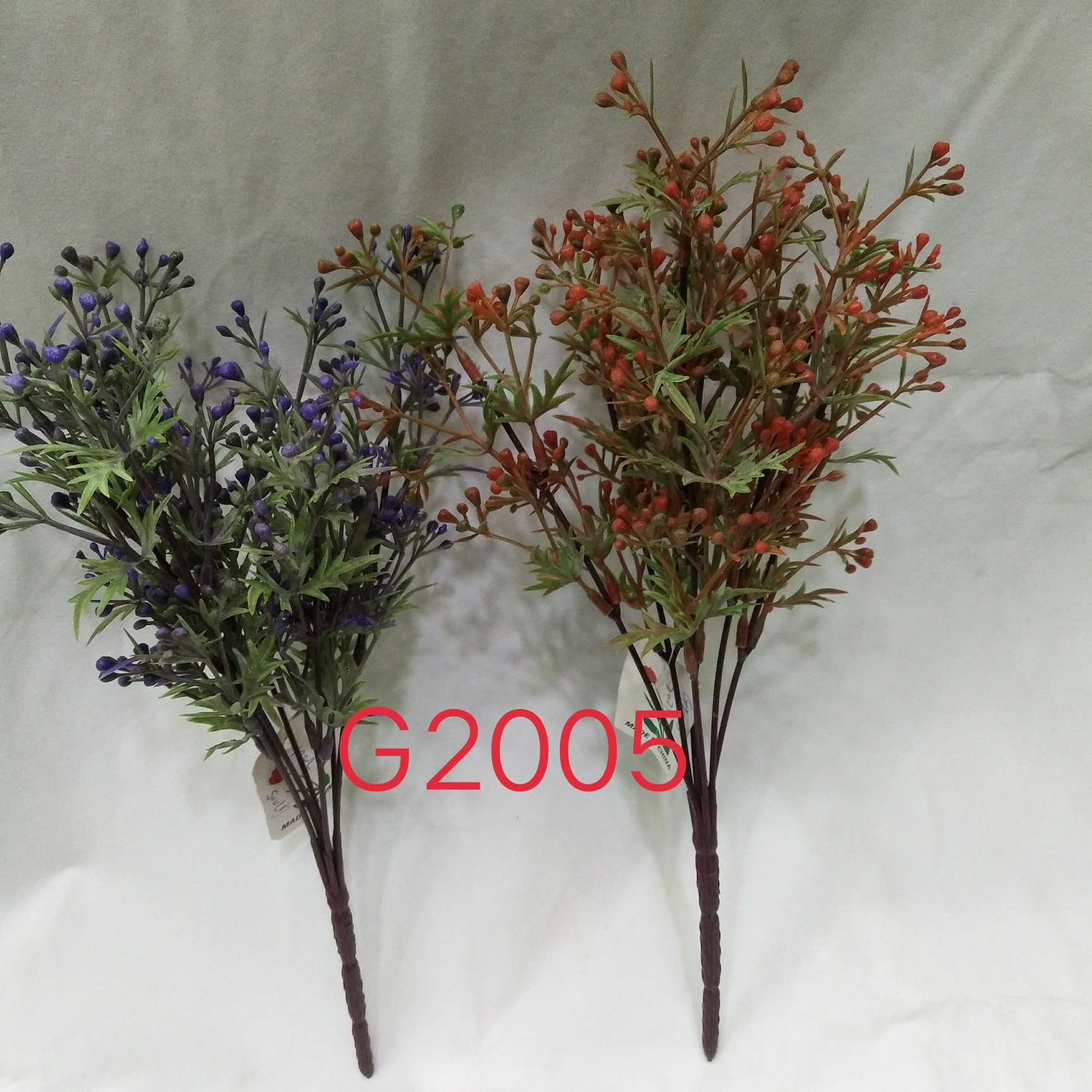 小艾草G2005  家用 水草                                             