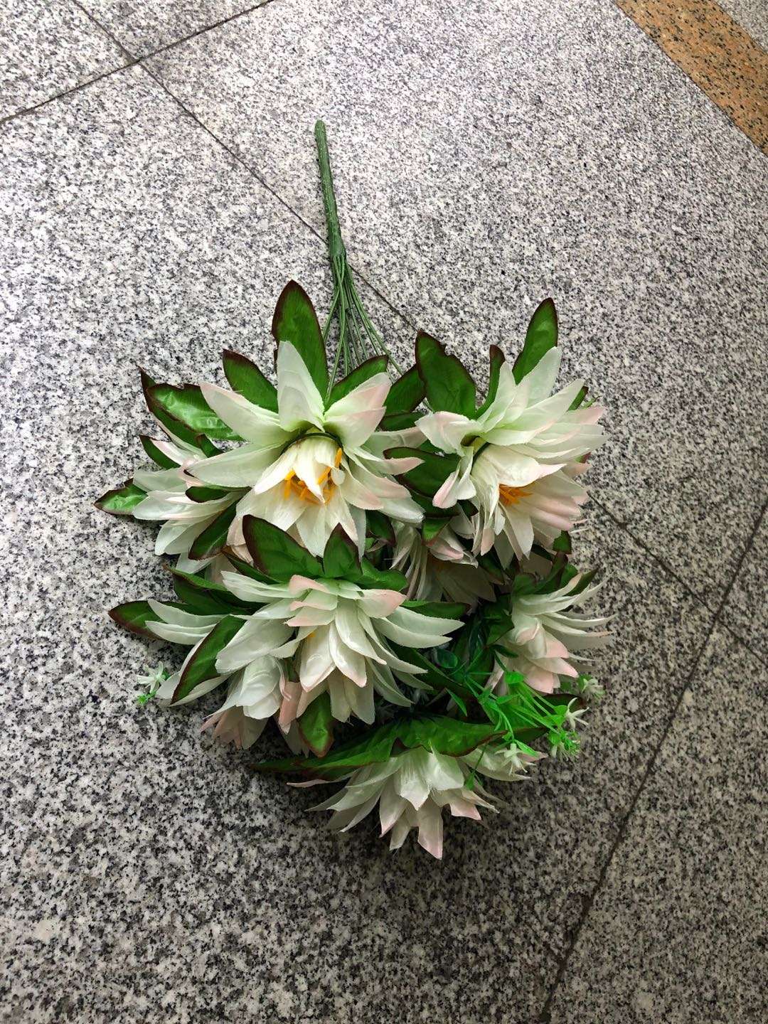 Pitaya