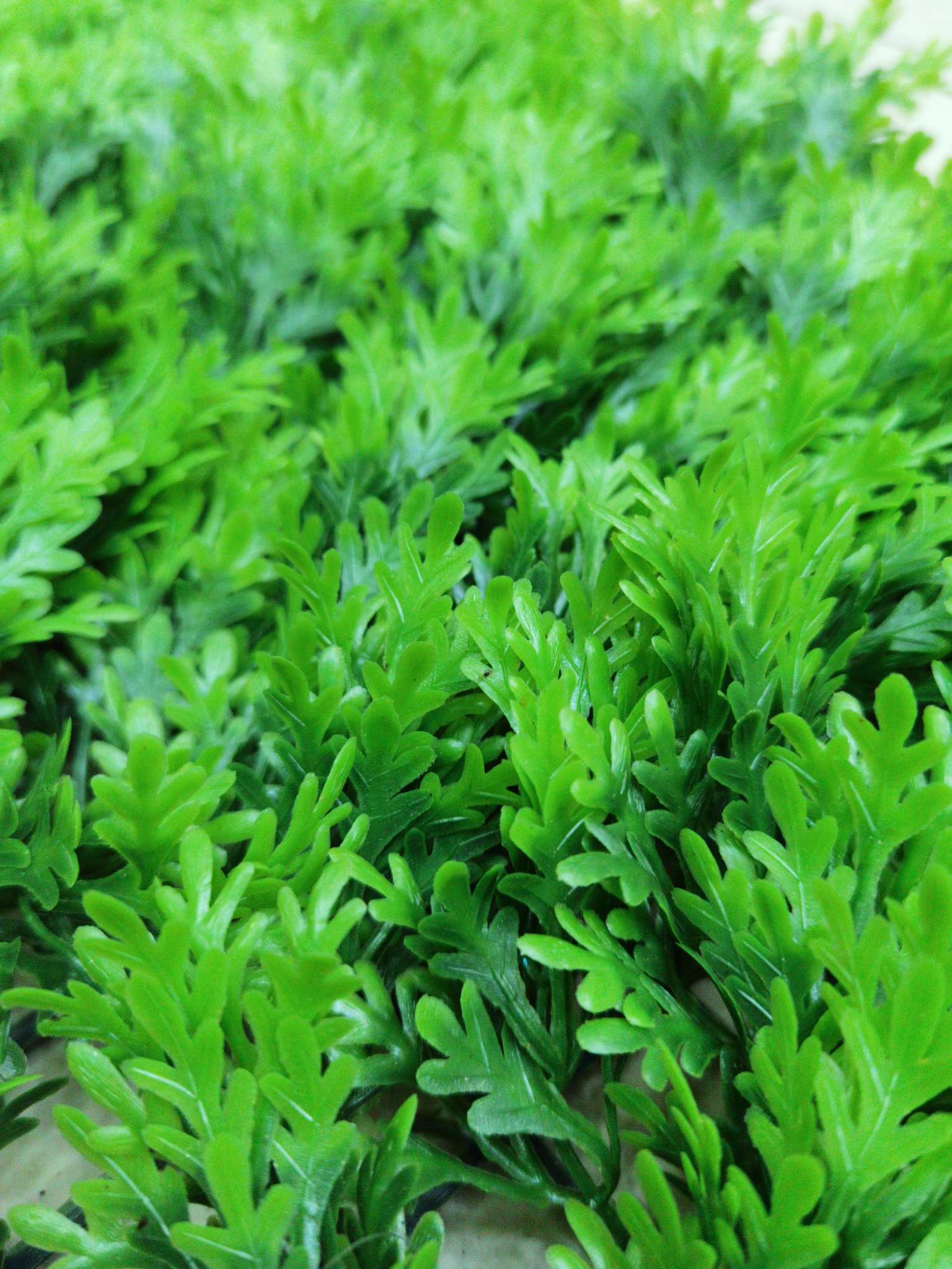 Artificial plant wall, green plant wall, plant wall, decorative wall, flower wall, background wall, interior decoration, balcony, storefront decoration, high-quality artificial grass 08 Item Picture