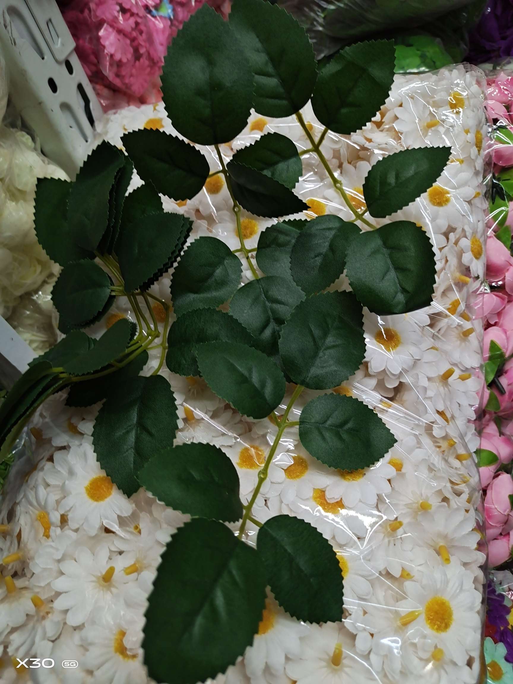 墨绿丝印布两叉六叶草绿植绿植绿植绿植绿植