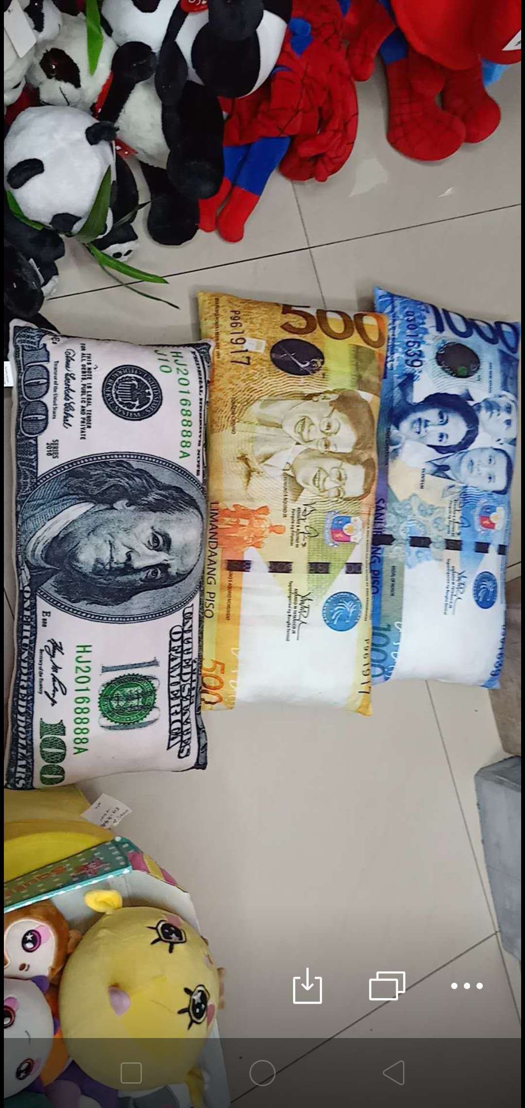 美金菲币60乘30厘米