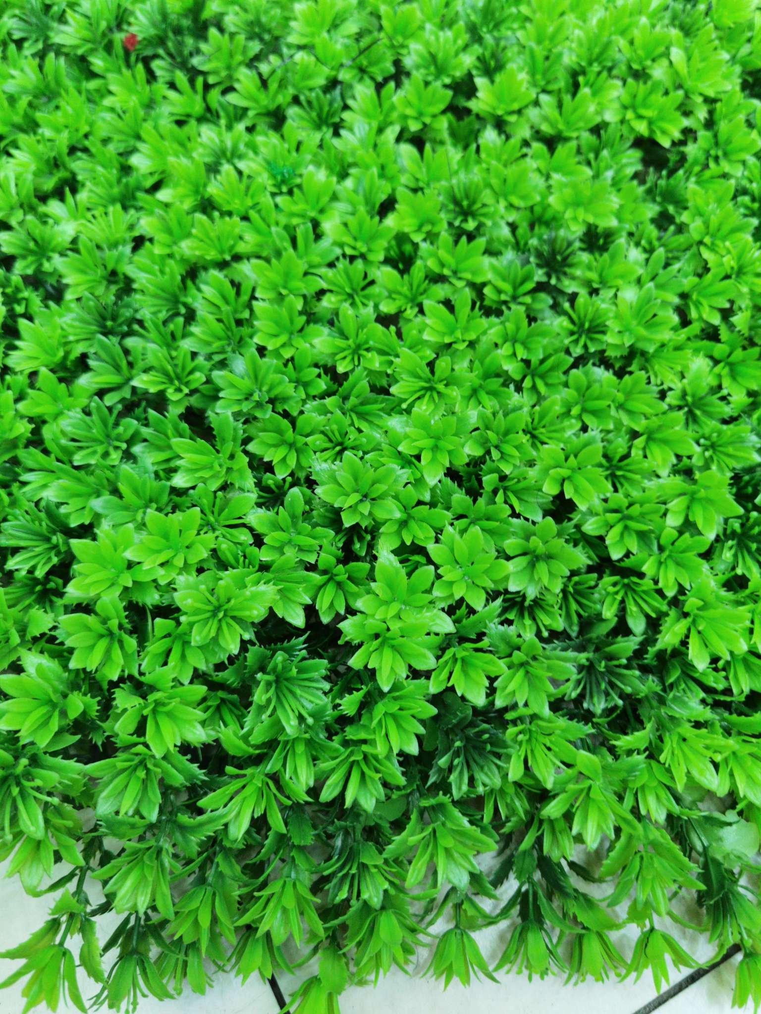 Artificial plant wall, green plant wall, plant wall, decorative wall, flower wall, background wall, interior decoration, balcony, storefront decoration, high-quality artificial grass 05 undefined