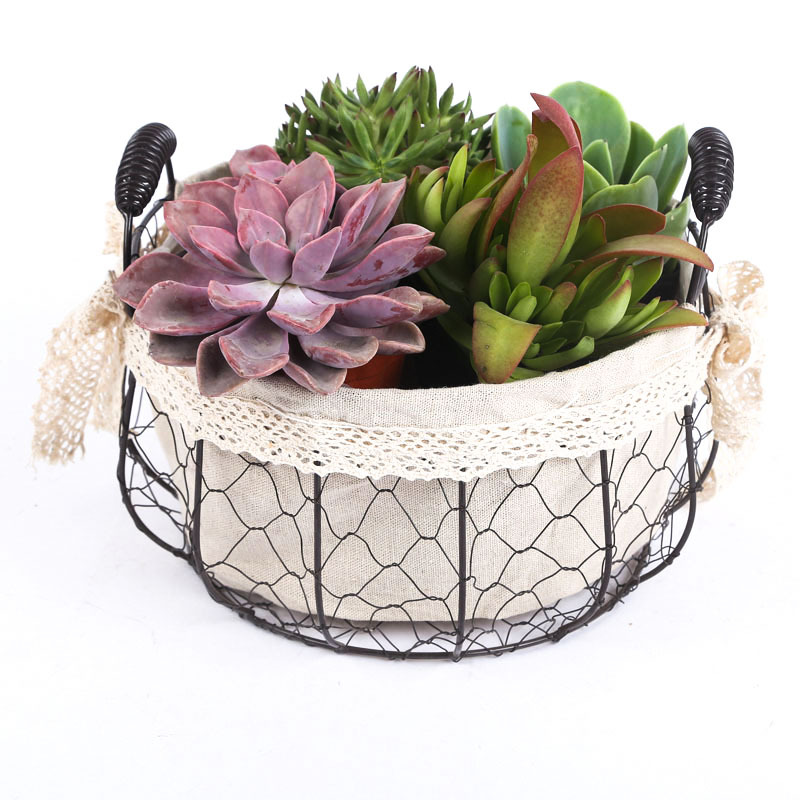 厂家直销铁架布艺欧式复古圆形花盆 装饰手提式花器花篮花盆产品图