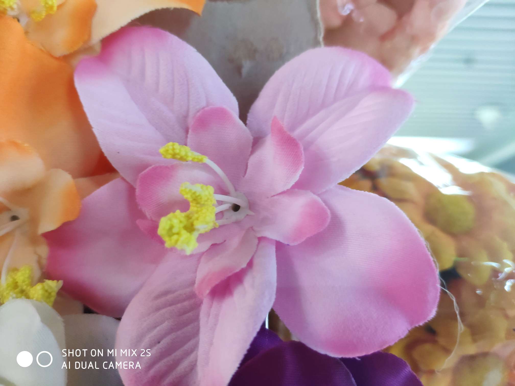 Orchids, violets thumbnail