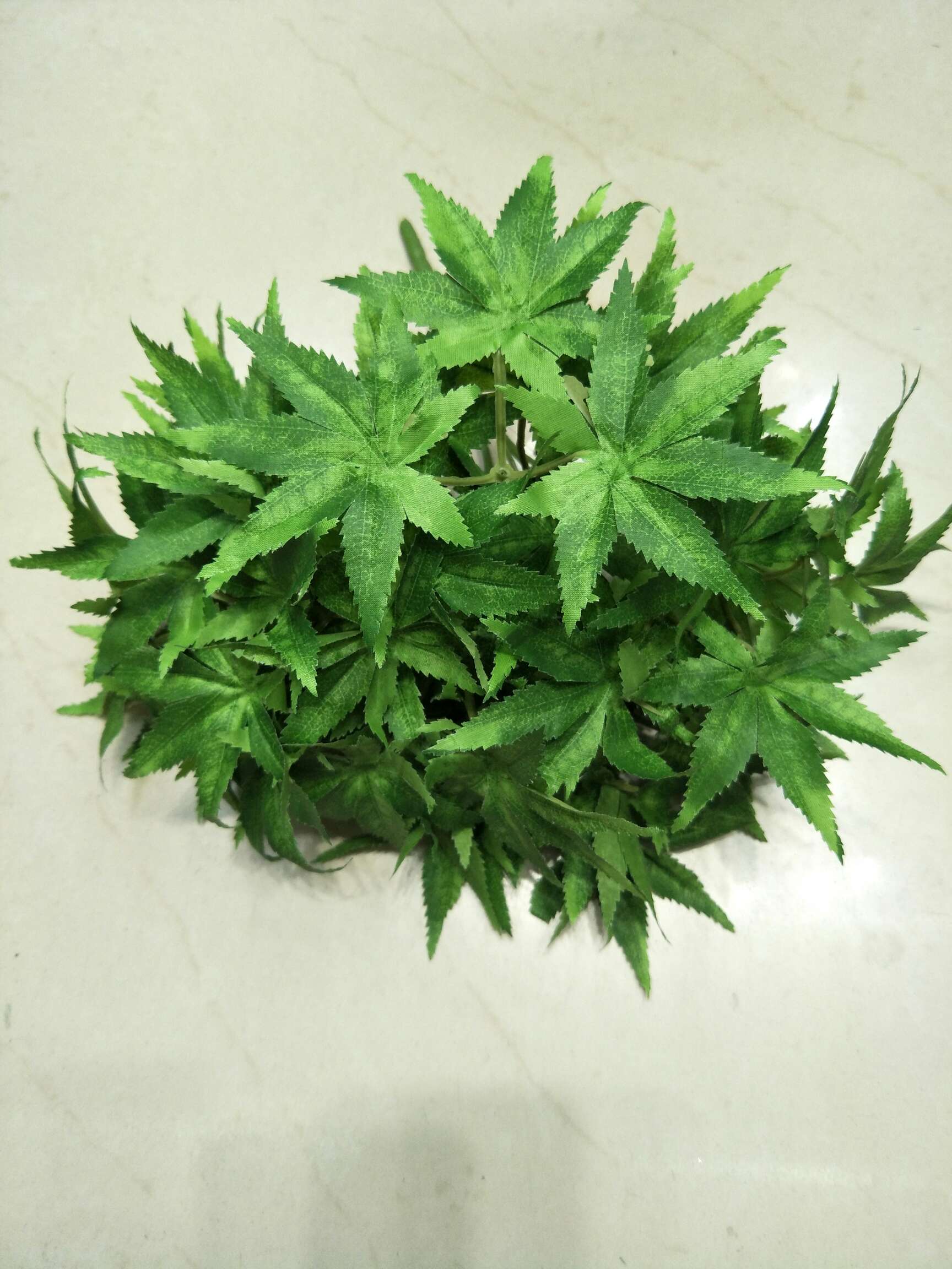 Put a bunch of maple leaves in 3 fork and 9 heads thumbnail