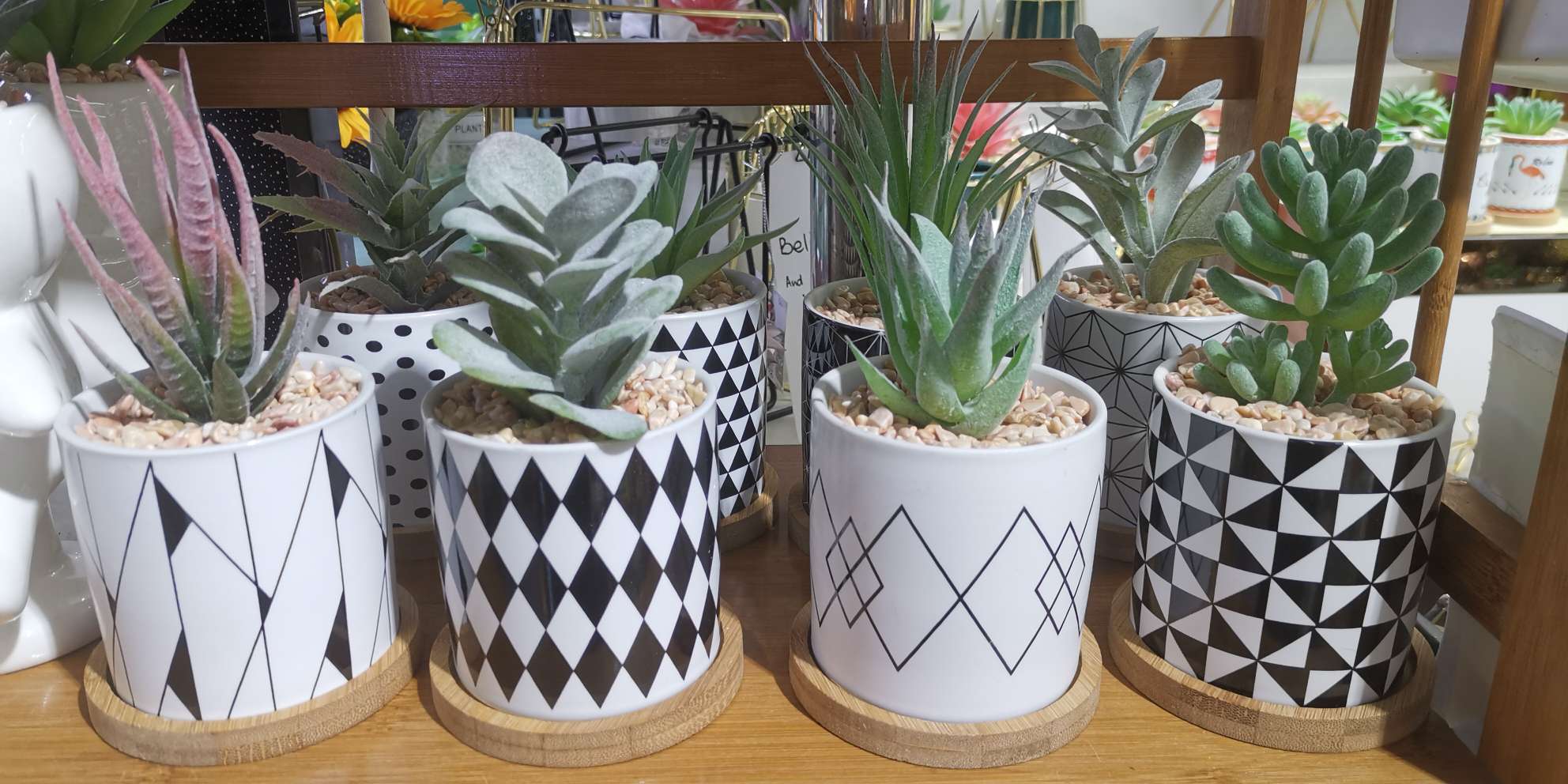 Chinese succulent flowerpot simulation plant flowerpot