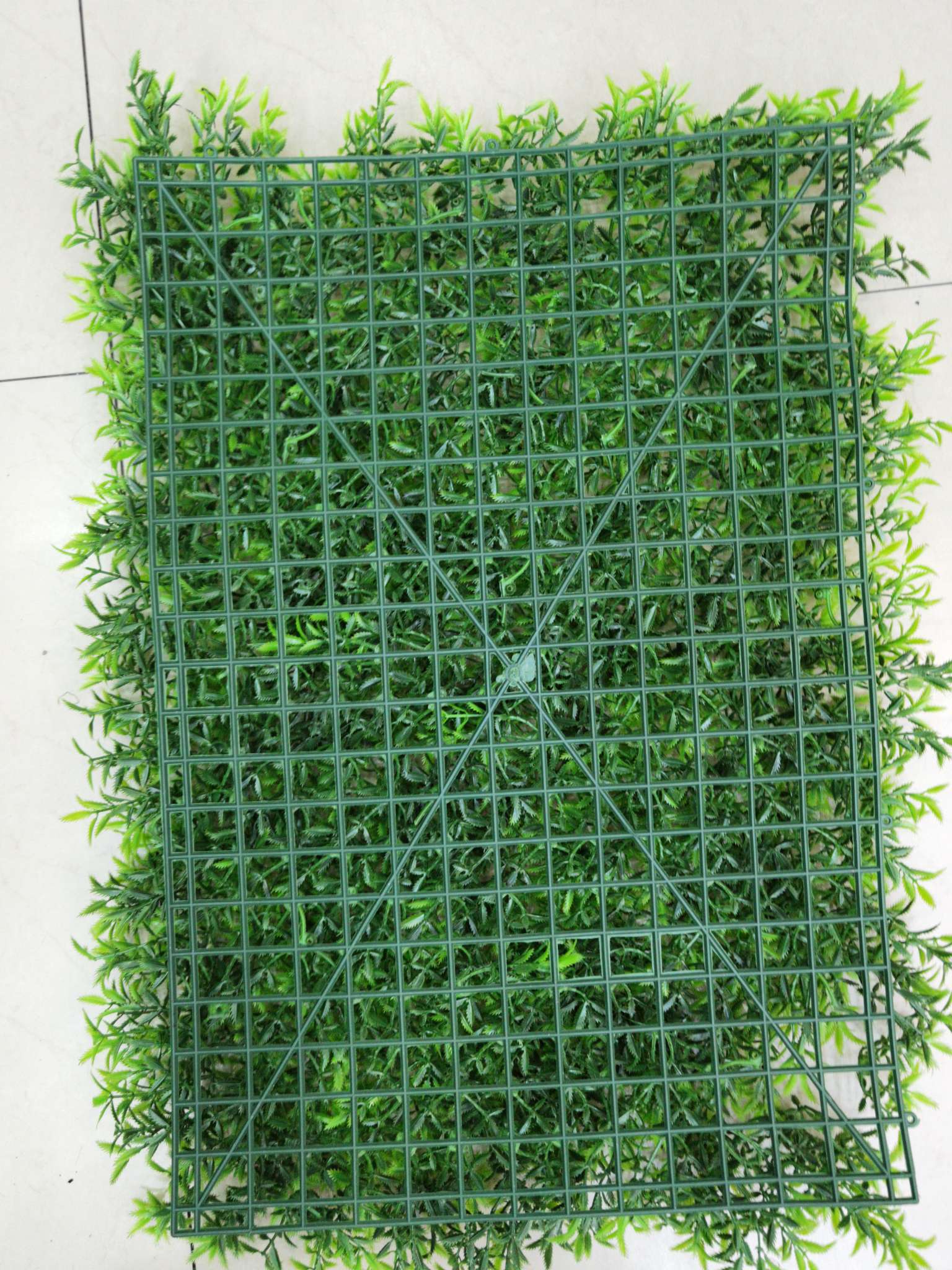 仿真植物实物图