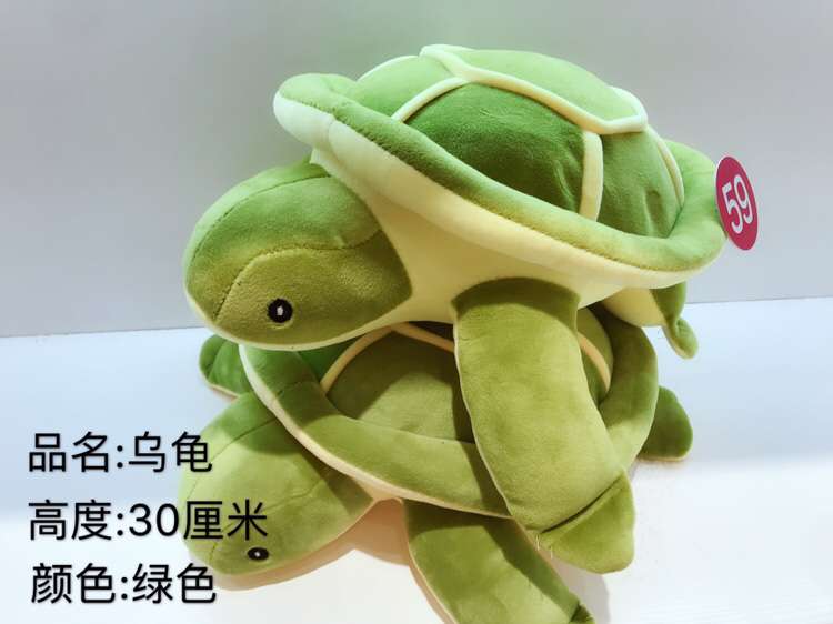 30厘米乌龟