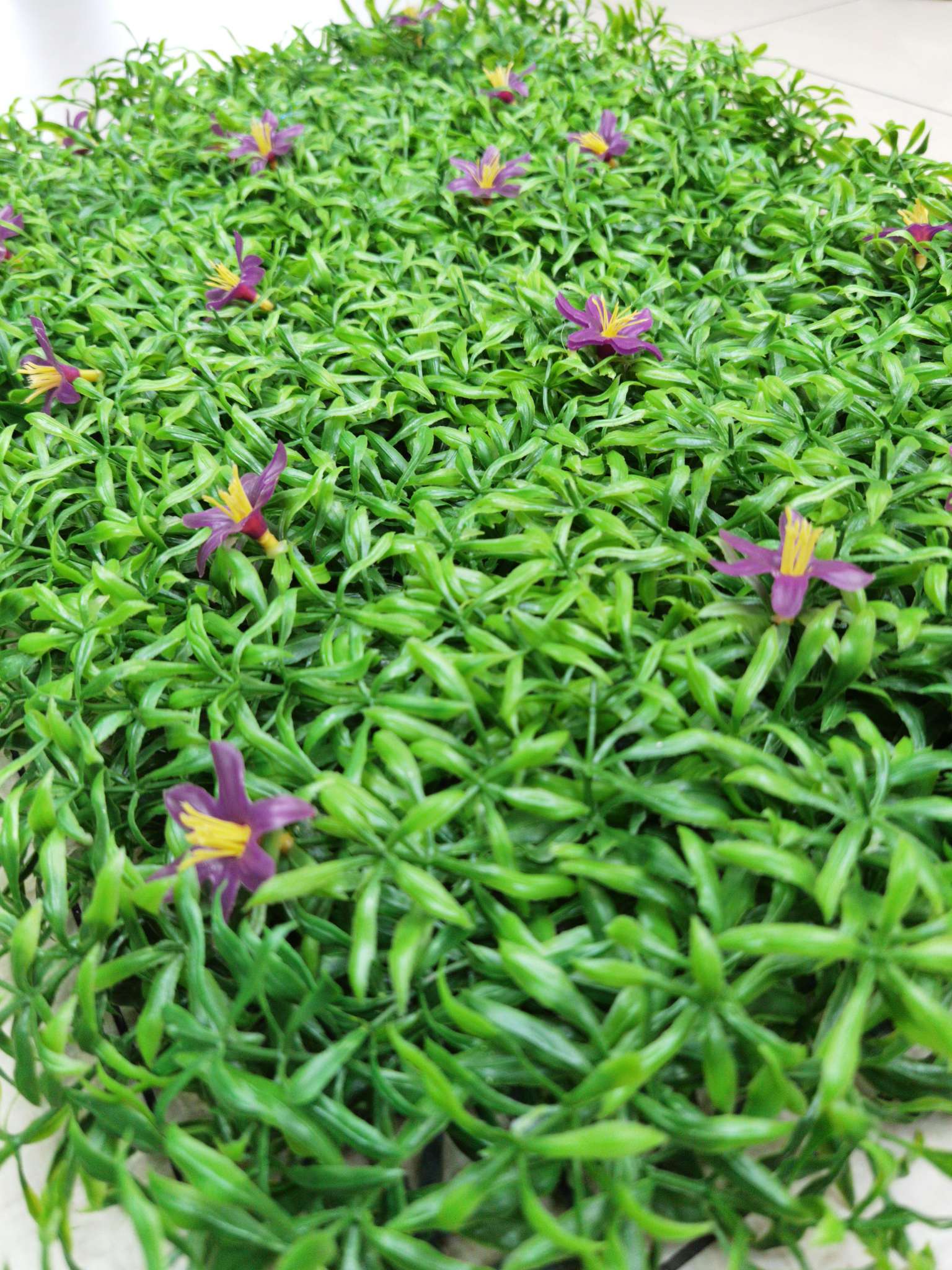 Artificial plant wall, green plant wall, plant wall, decorative wall, flower wall, background wall, interior decoration, balcony, storefront decoration, high-quality artificial grass SHC Application Scenario