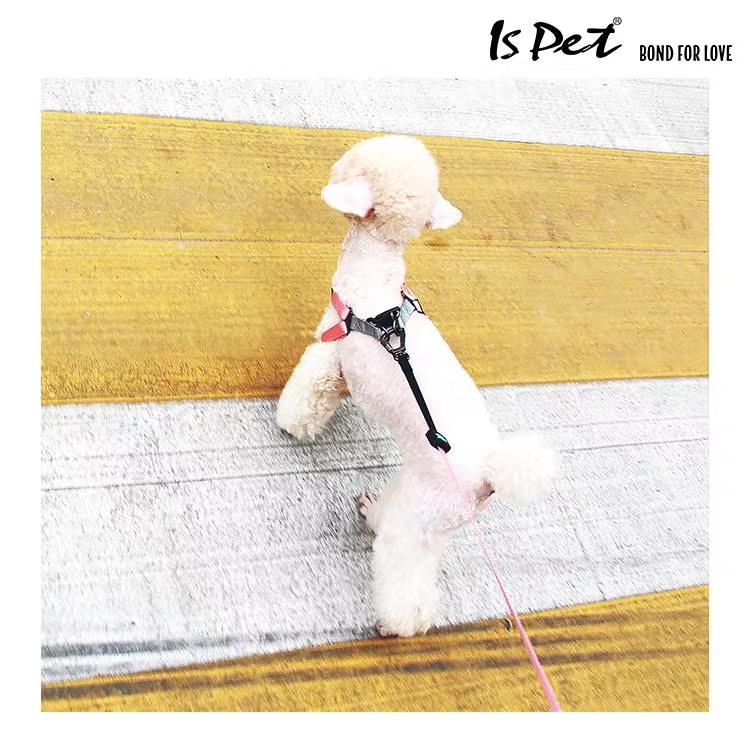 ISPET 
 bond for love 爱的牵引绳 & 织带 & 轻量化 
自由混搭，12条起批，多多益善！详情图10