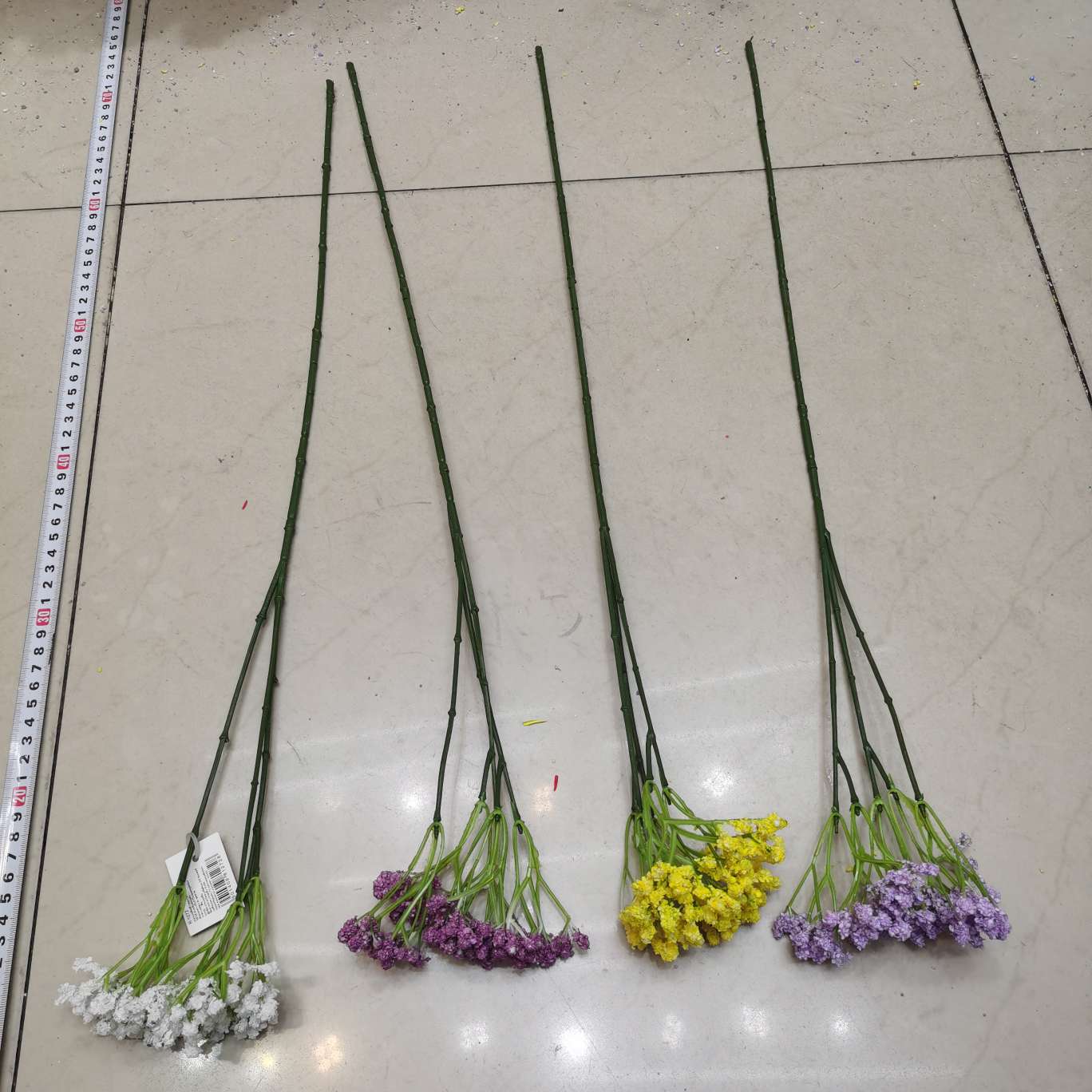 单支5头泡沫草