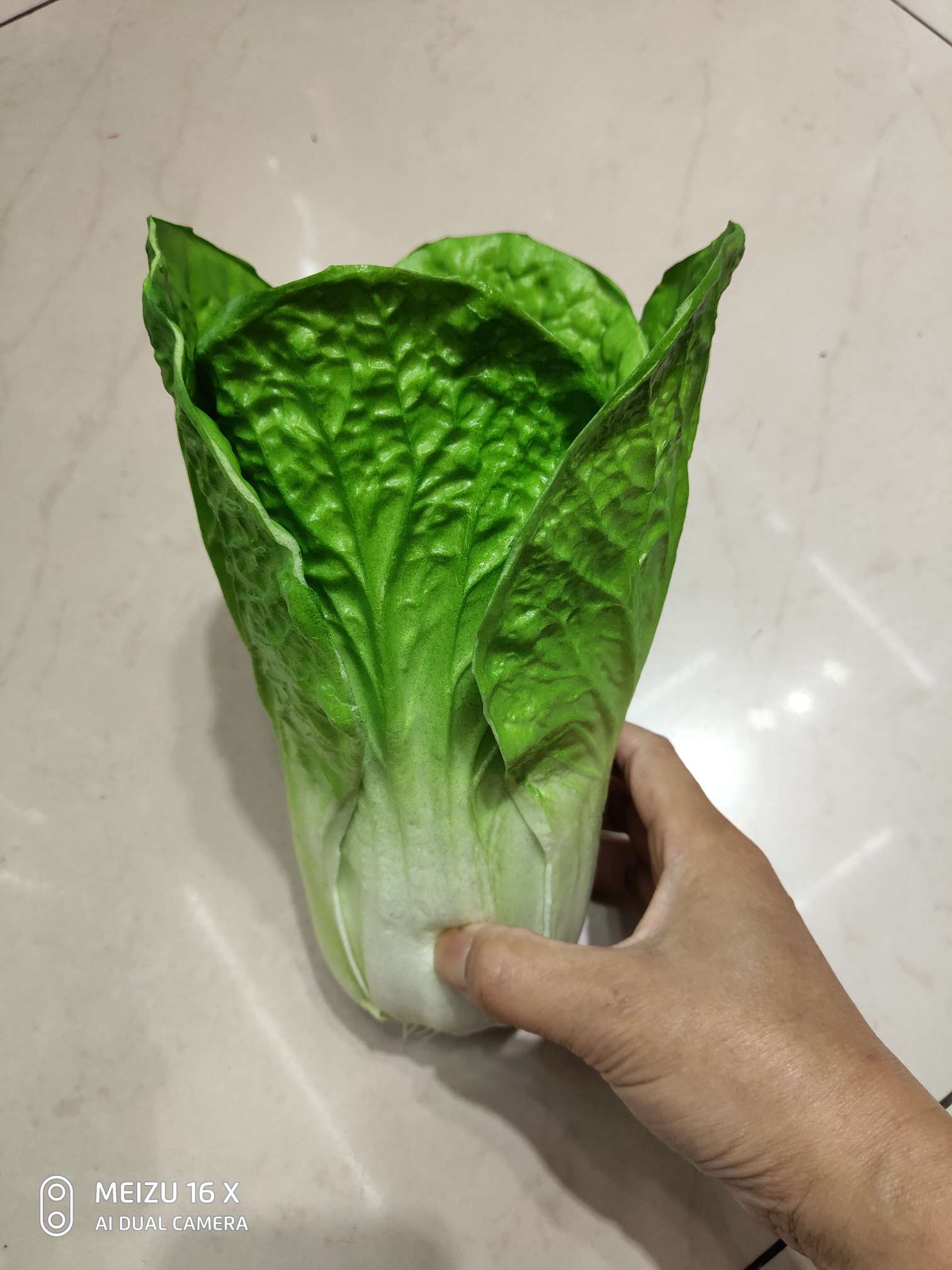 المحاكاة الخضروات