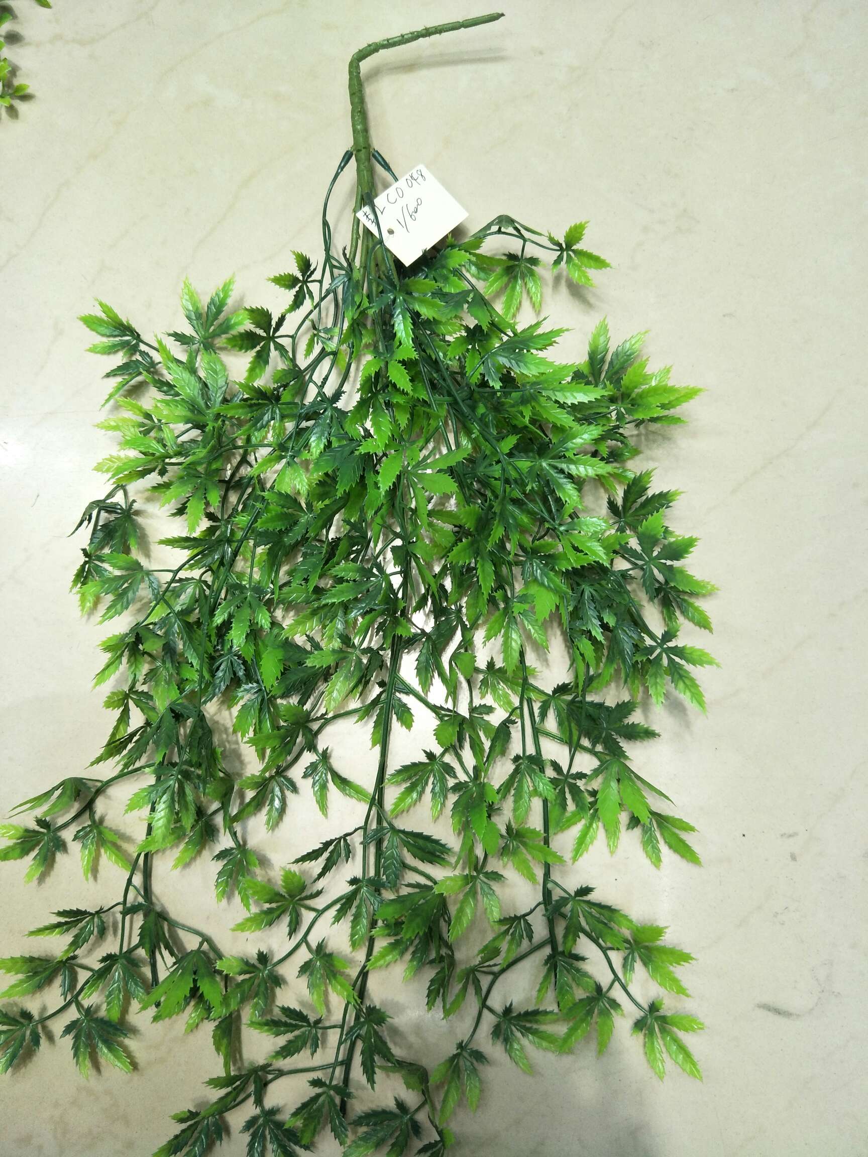 Hoja de arce verde