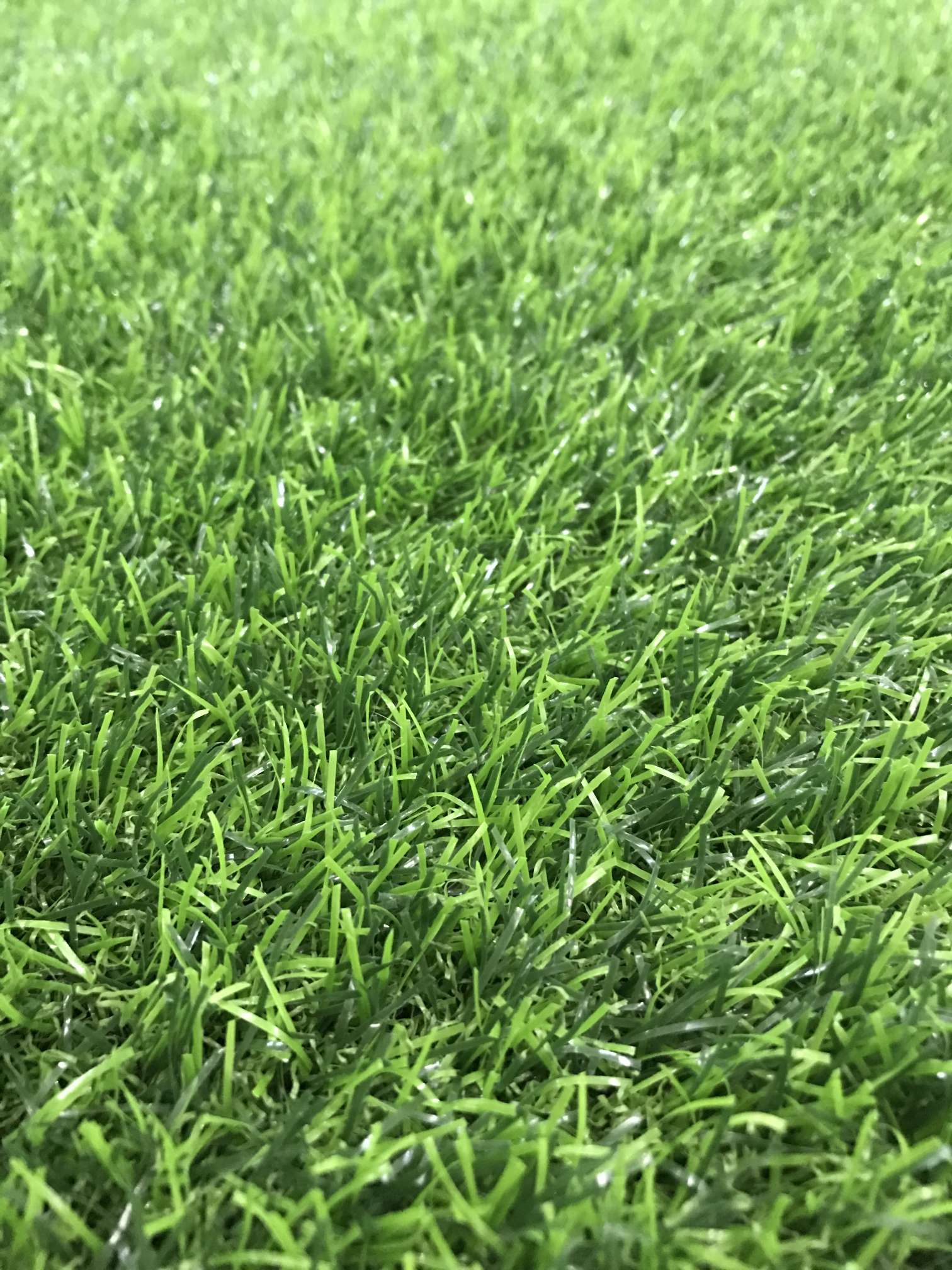 Football turf, sports turf, artificial turf, artificial turf, sports turf, landscape turf, engineering fence grass, school and kindergarten playground, hotel and club grass, wedding 3