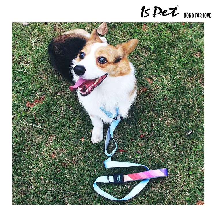 ISPET 
 bond for love 爱的牵引绳 & 织带 & 轻量化 
自由混搭，12条起批，多多益善！详情图8