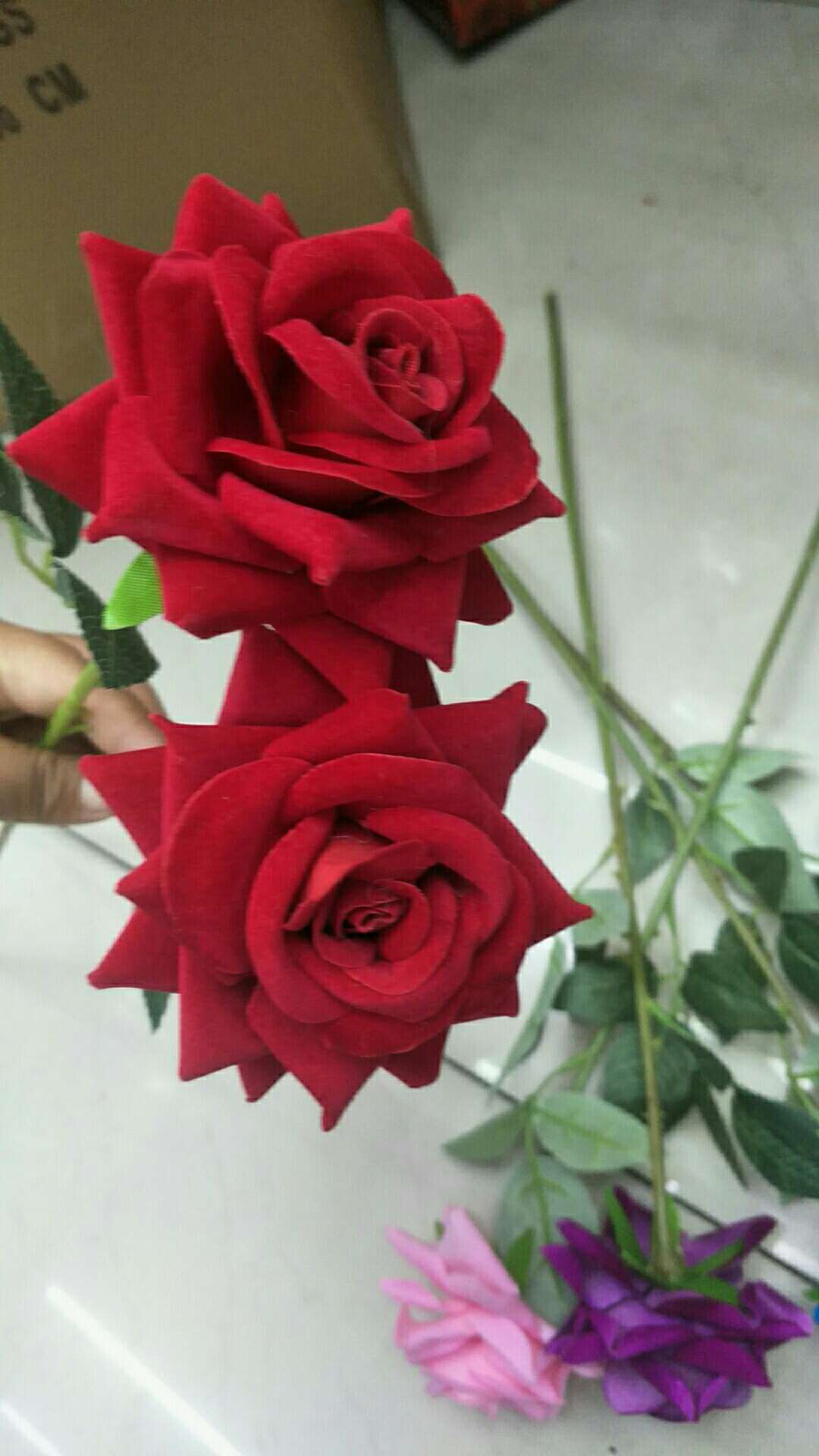 Single Rose for Valentine's Day thumbnail