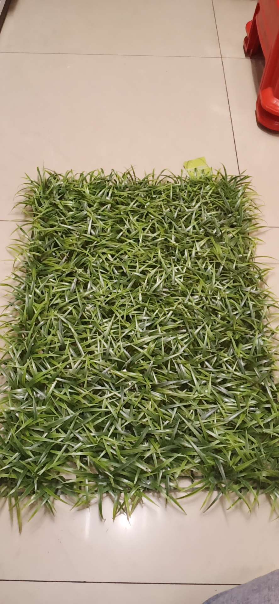 秋色大秧苗秋色大秧苗秋色大秧苗秋色大秧苗