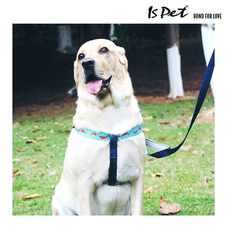 ISPET 
 bond for love 爱的牵引绳 & 织带 & 轻量化 
自由混搭，12条起批，多多益善！详情图9