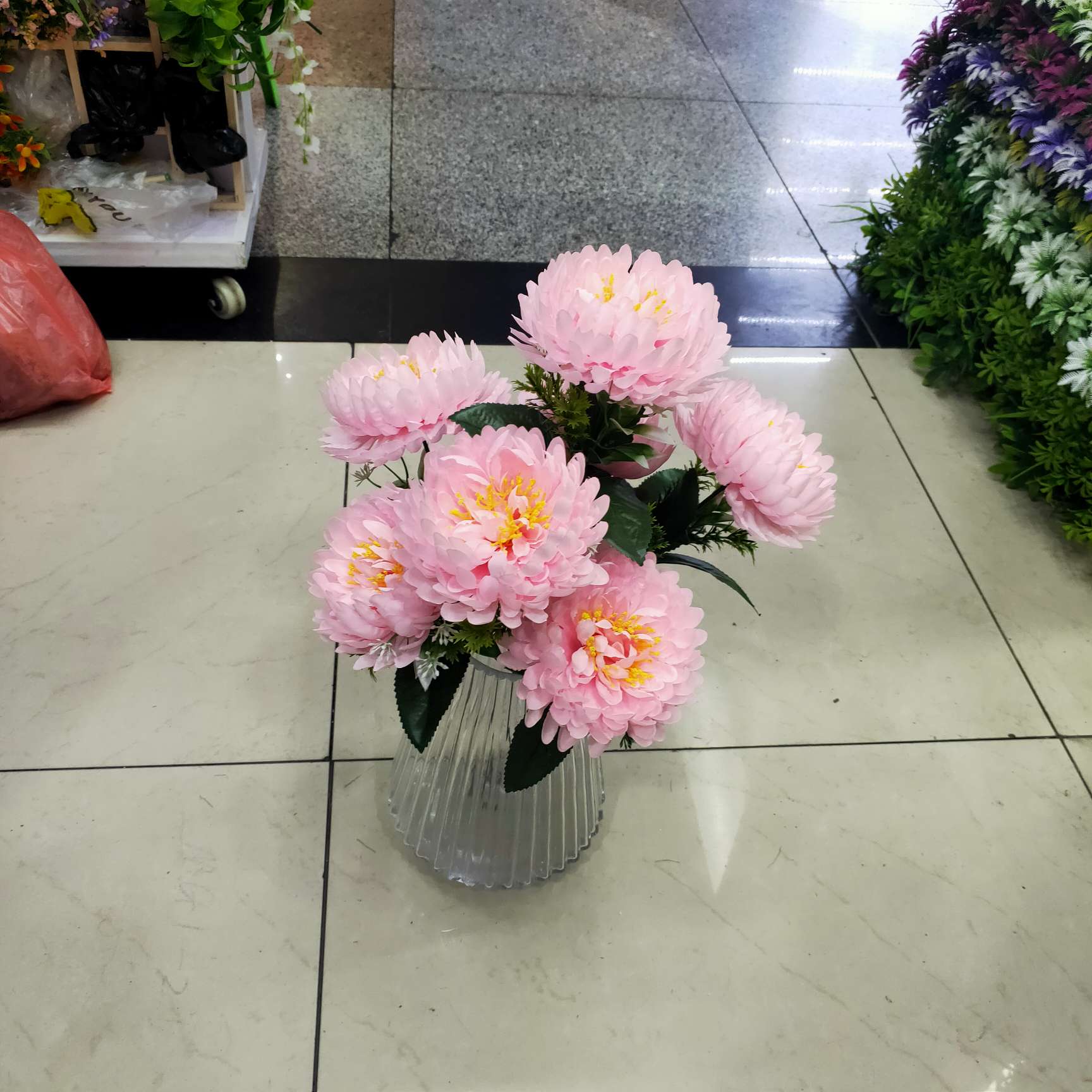 Seven head longevity chrysanthemum thumbnail