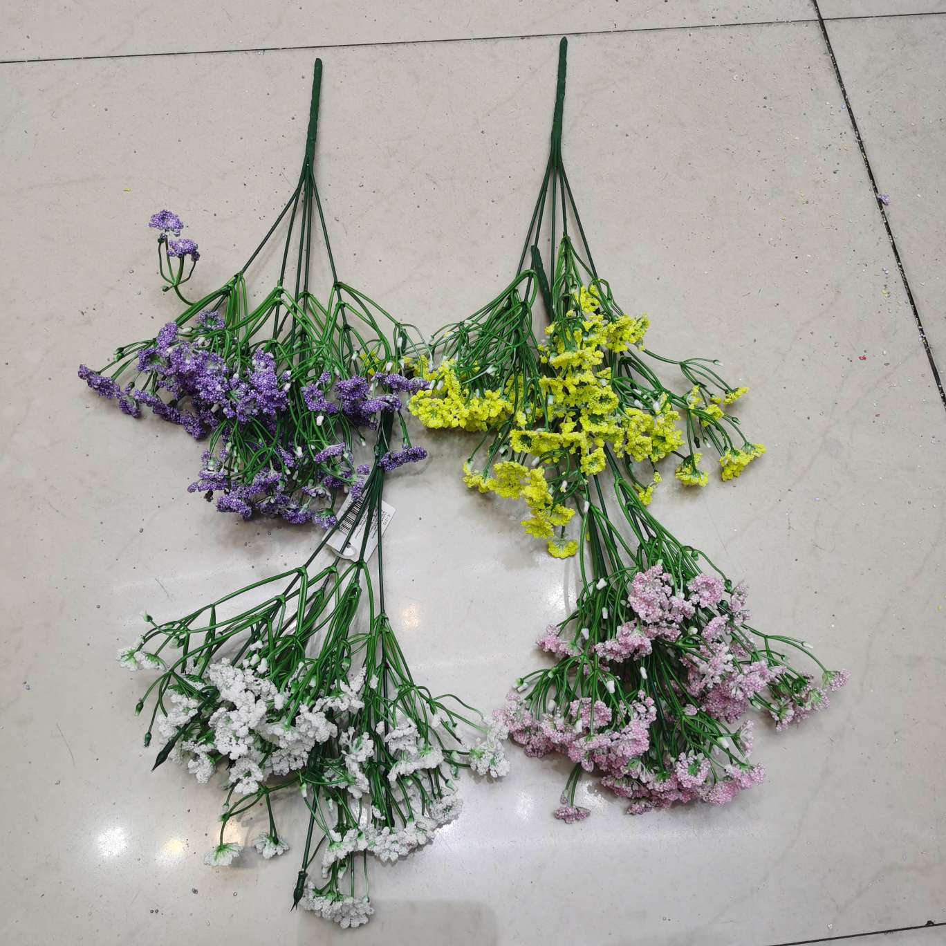 5头3叉果菊花。