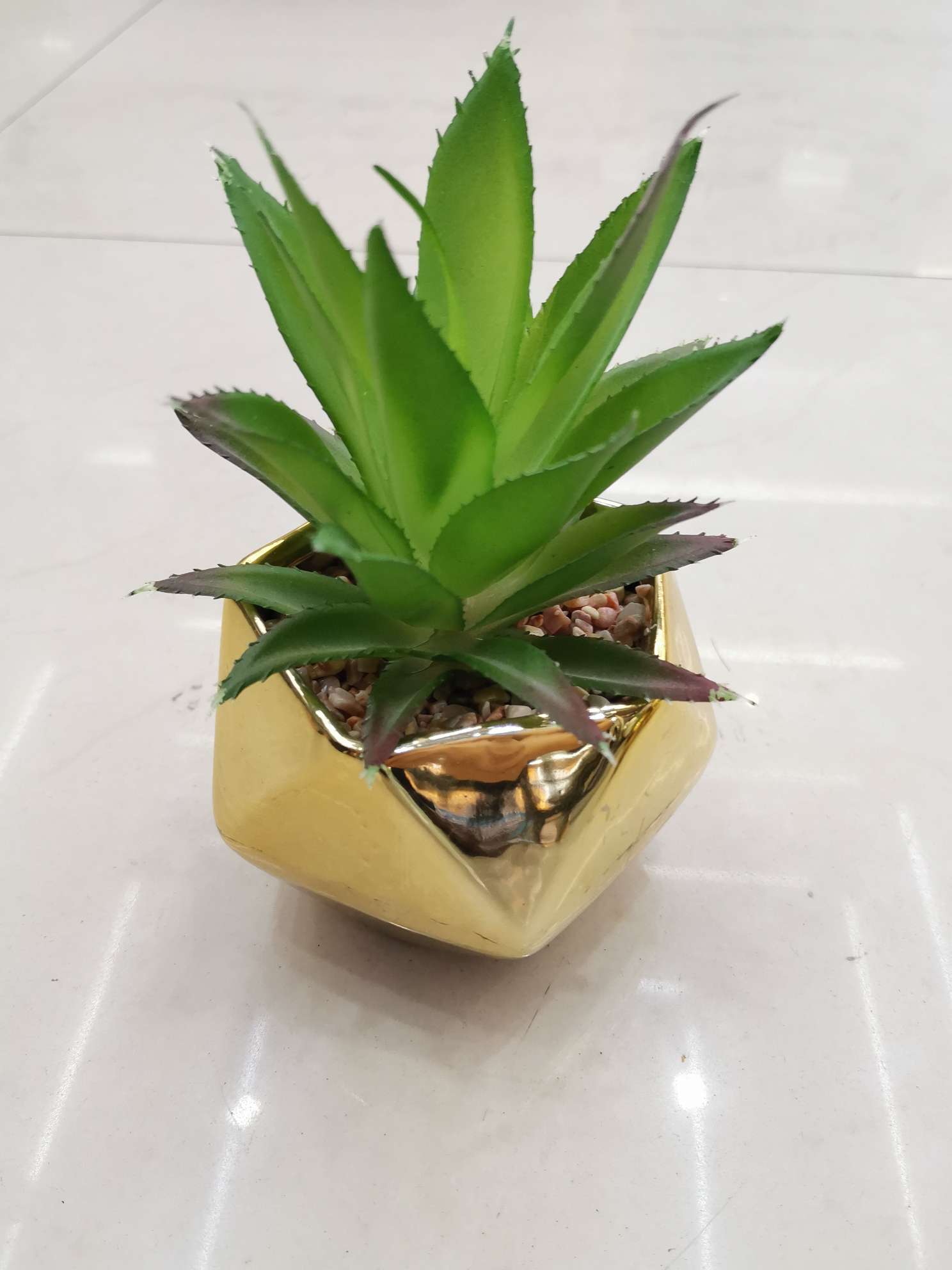 陶瓷花盆/多肉盆景 /家居摆件产品图