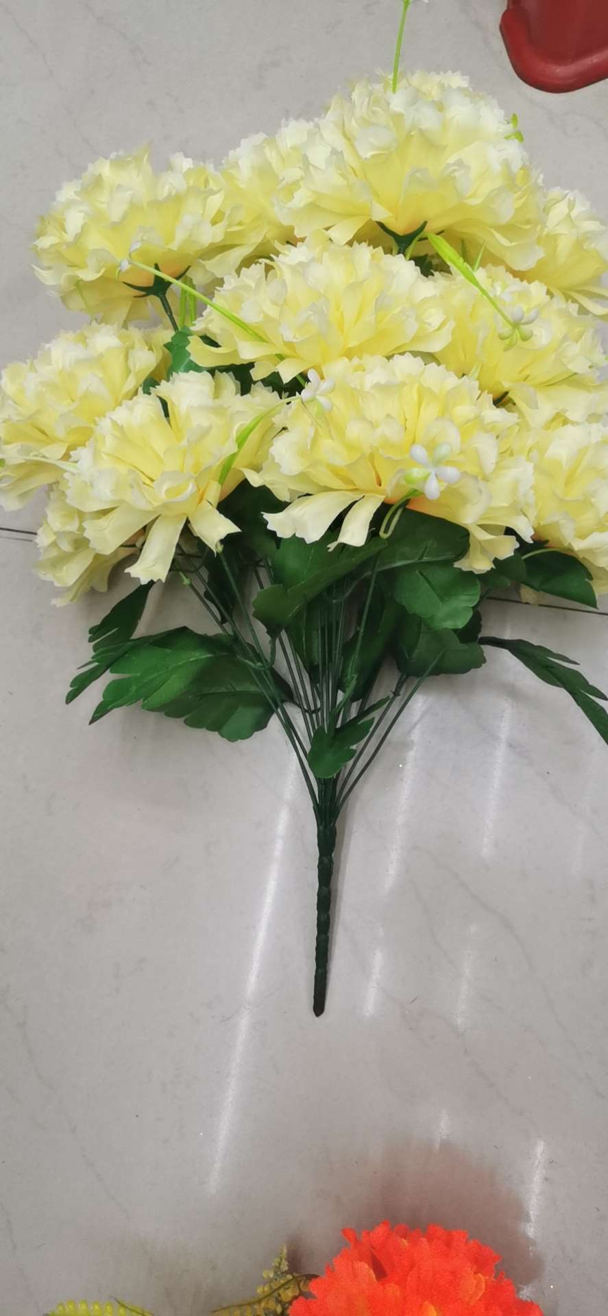 18 new chrysanthemums thumbnail