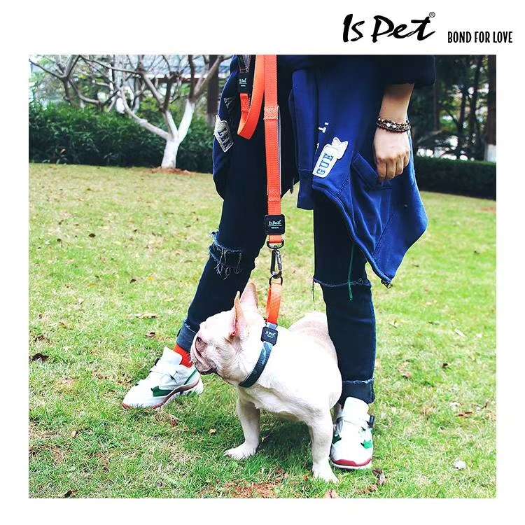 ISPET 
 bond for love 爱的牵引绳 & 织带 & 轻量化 
自由混搭，12条起批，多多益善！详情图7