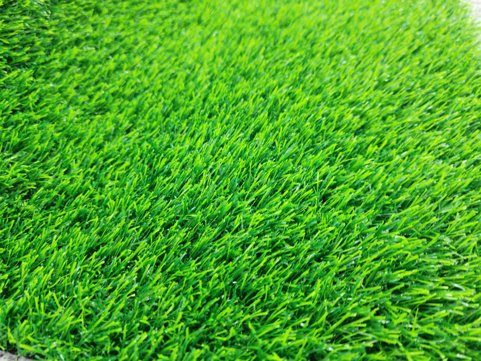 人造仿真草坪/学校运动草坪/仿真假草坪产品图