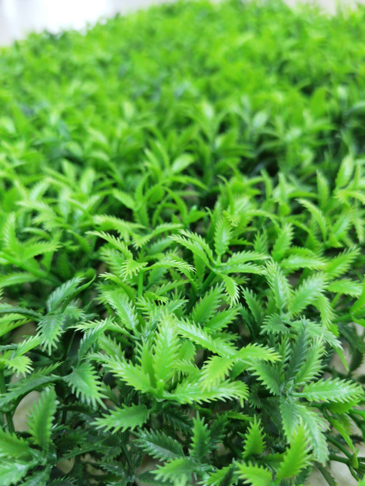 Artificial plant wall, green plant wall, plant wall, decorative wall, flower wall, background wall, interior decoration, balcony, storefront decoration, high-quality artificial grass THC Application Scenario