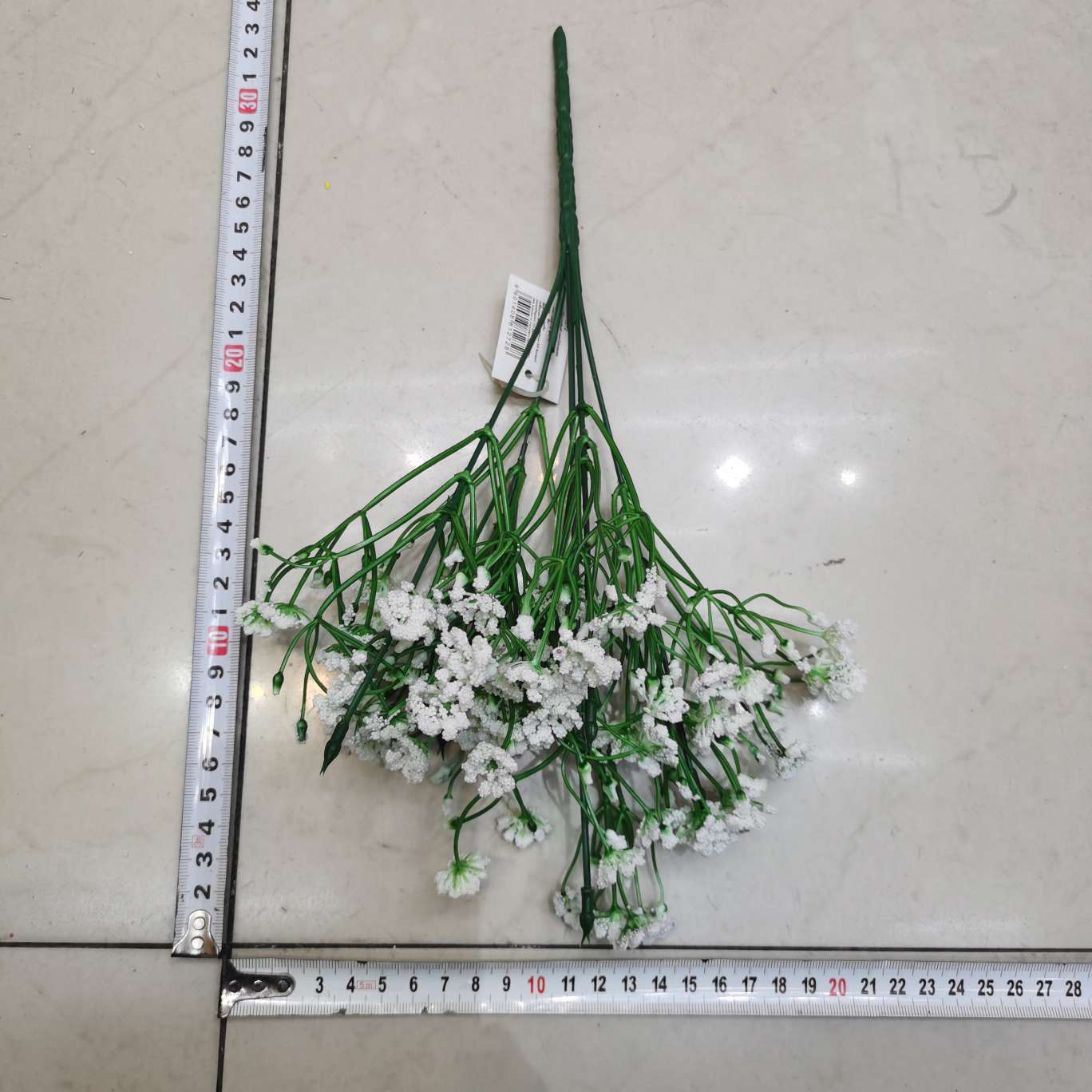 5头3叉果菊花。产品图