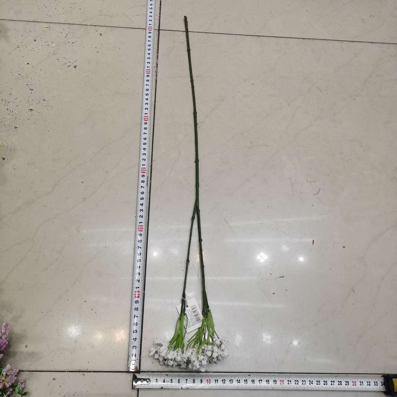 单支5头泡沫草产品图