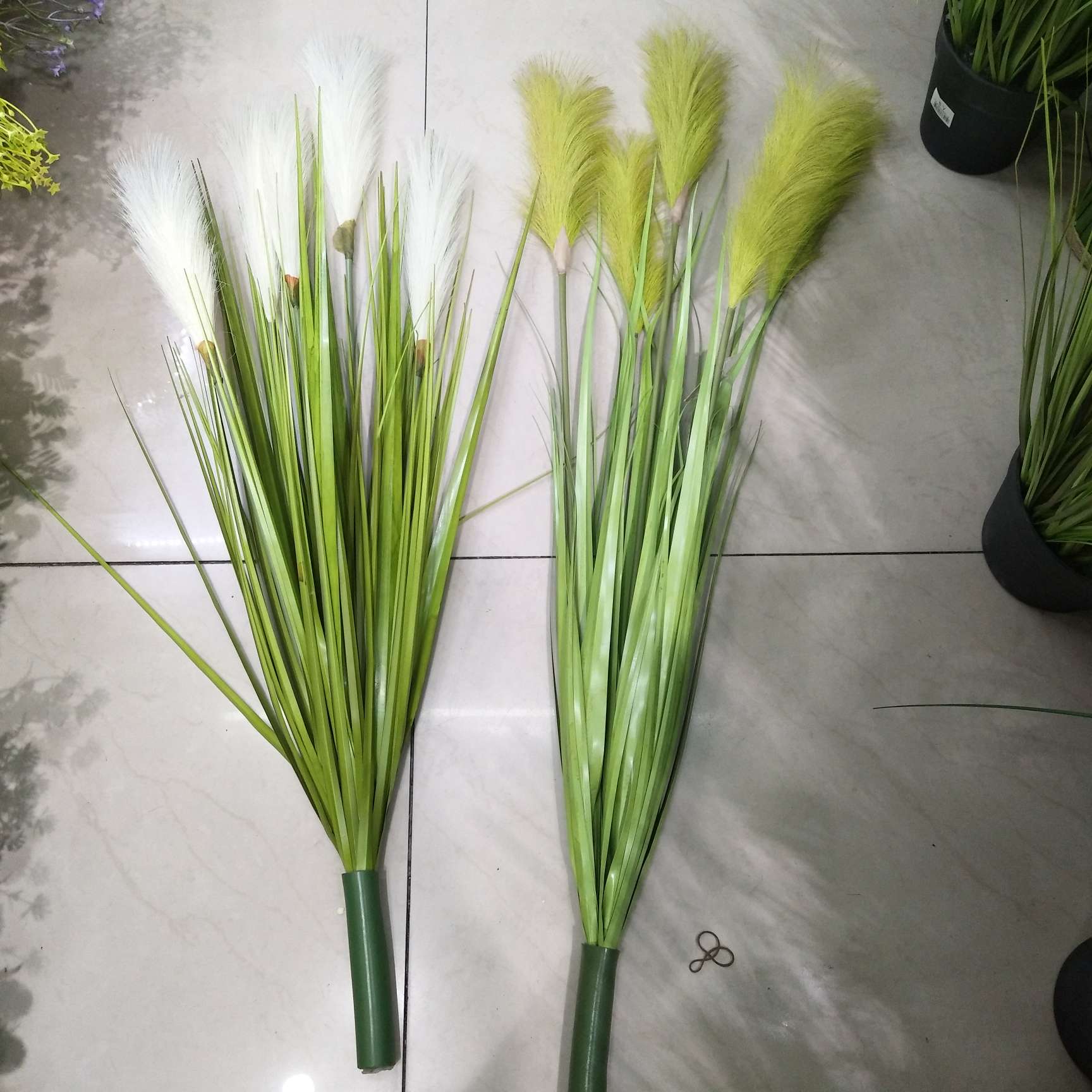 Five large reeds thumbnail