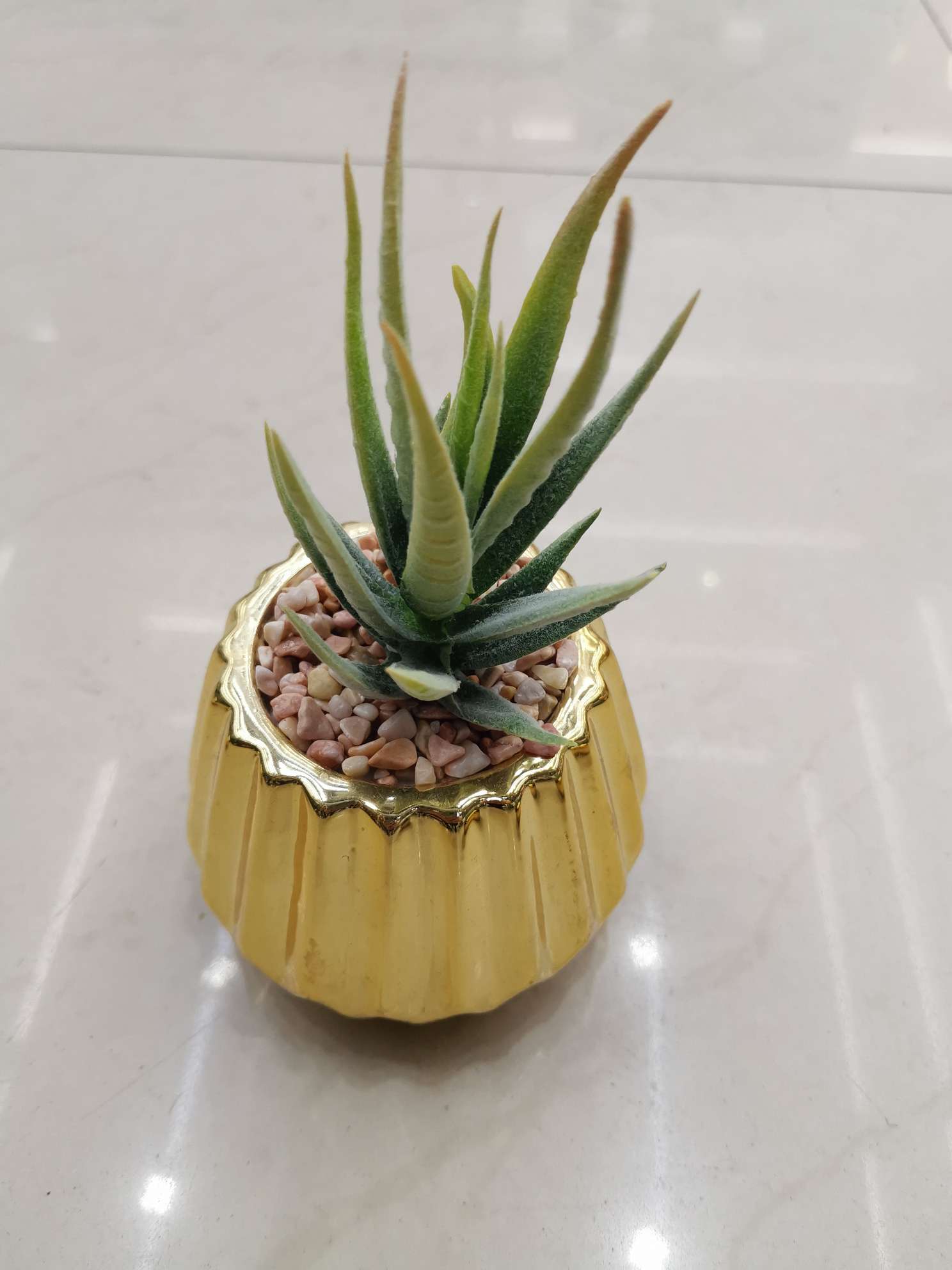 陶瓷花盆/多肉盆景 /家居摆件细节图