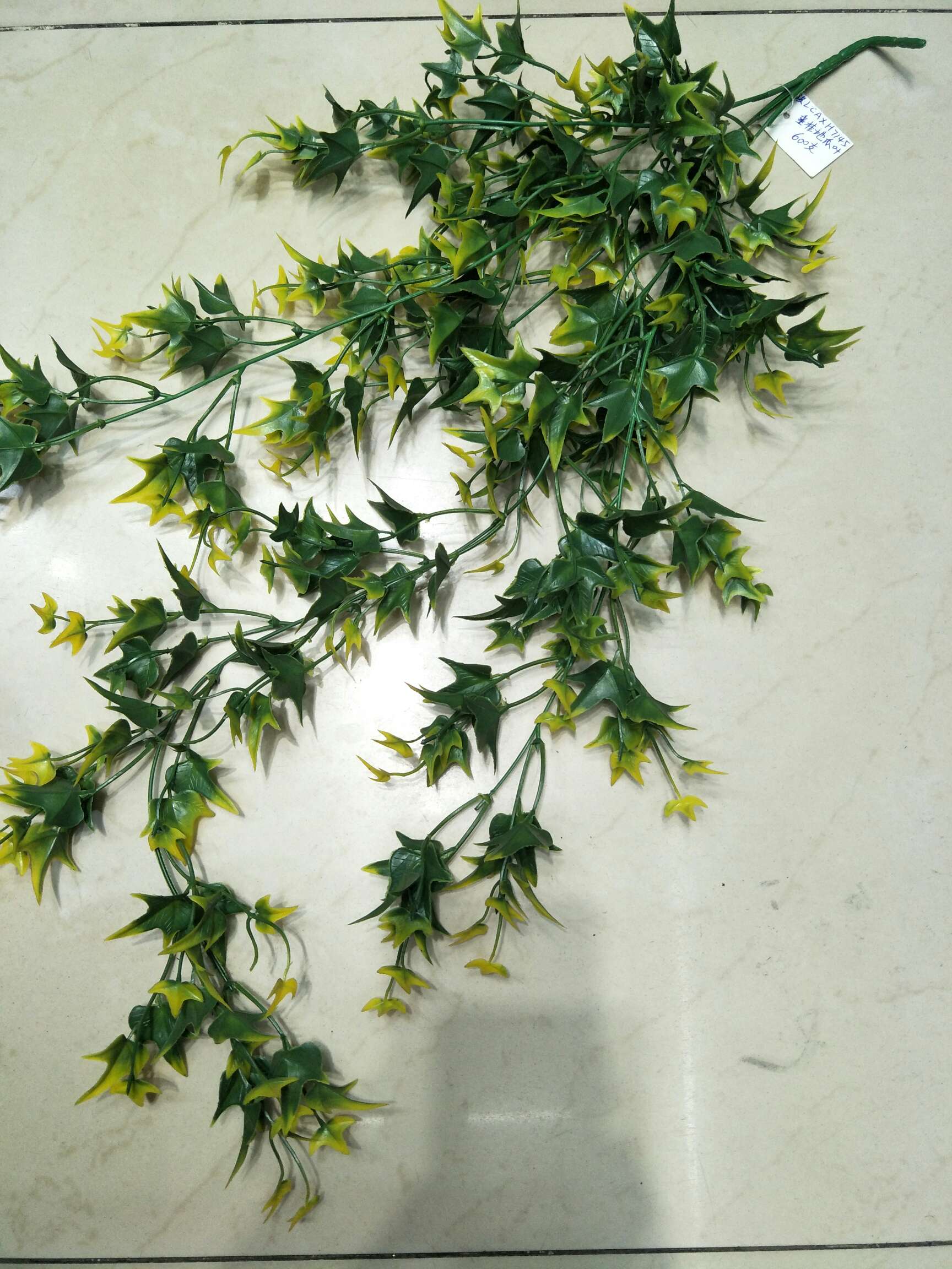 垂挂黄边地瓜叶