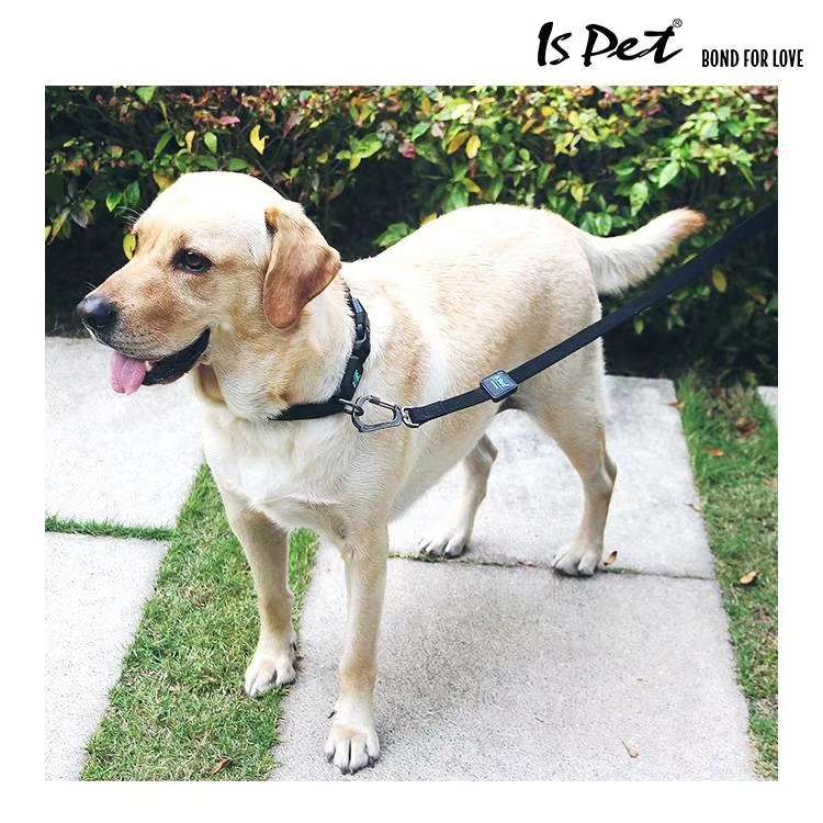 爱的牵引绳/宠物用品牵引/宠物狗狗绳子细节图