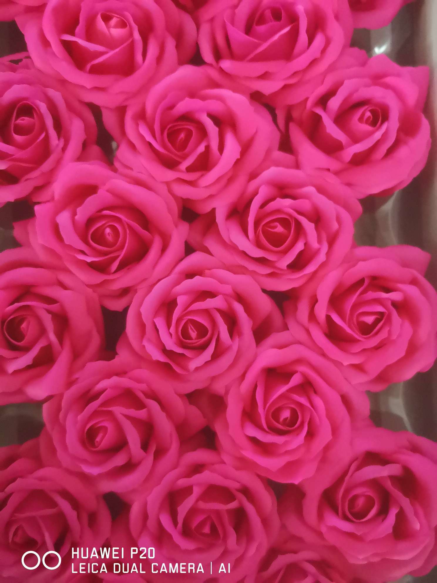 五层香皂花