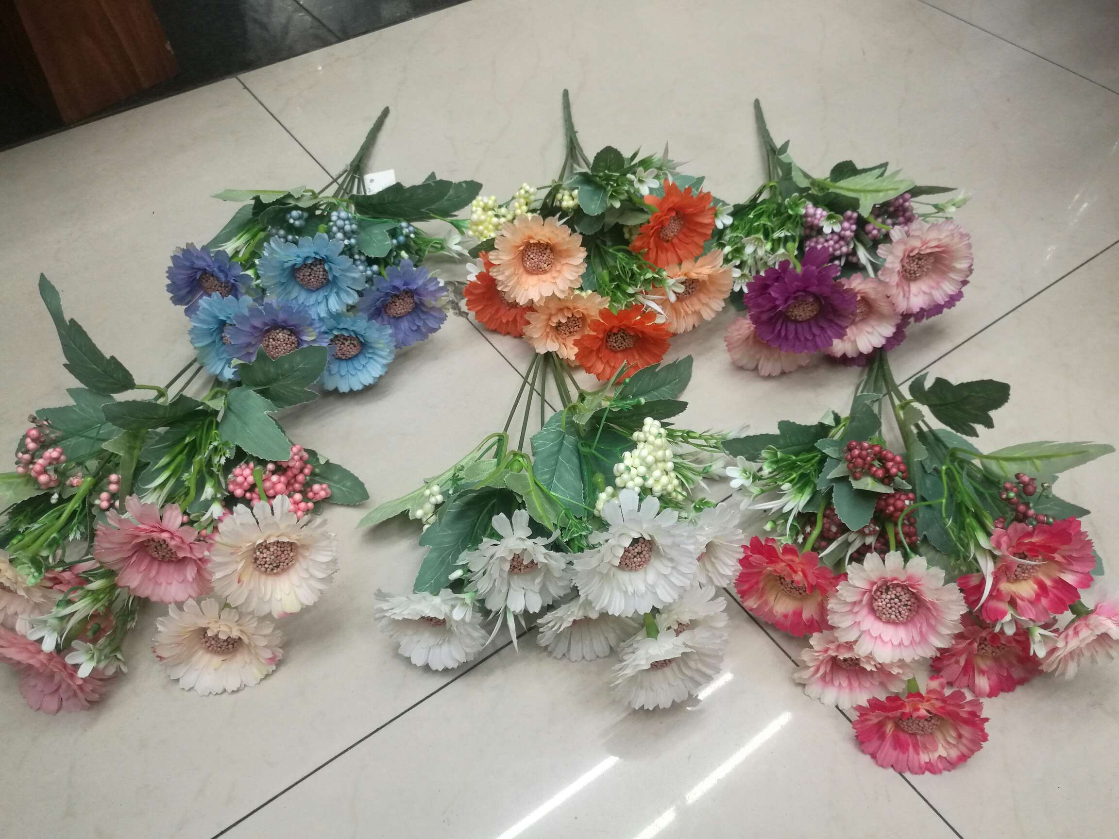 7头光阳菊