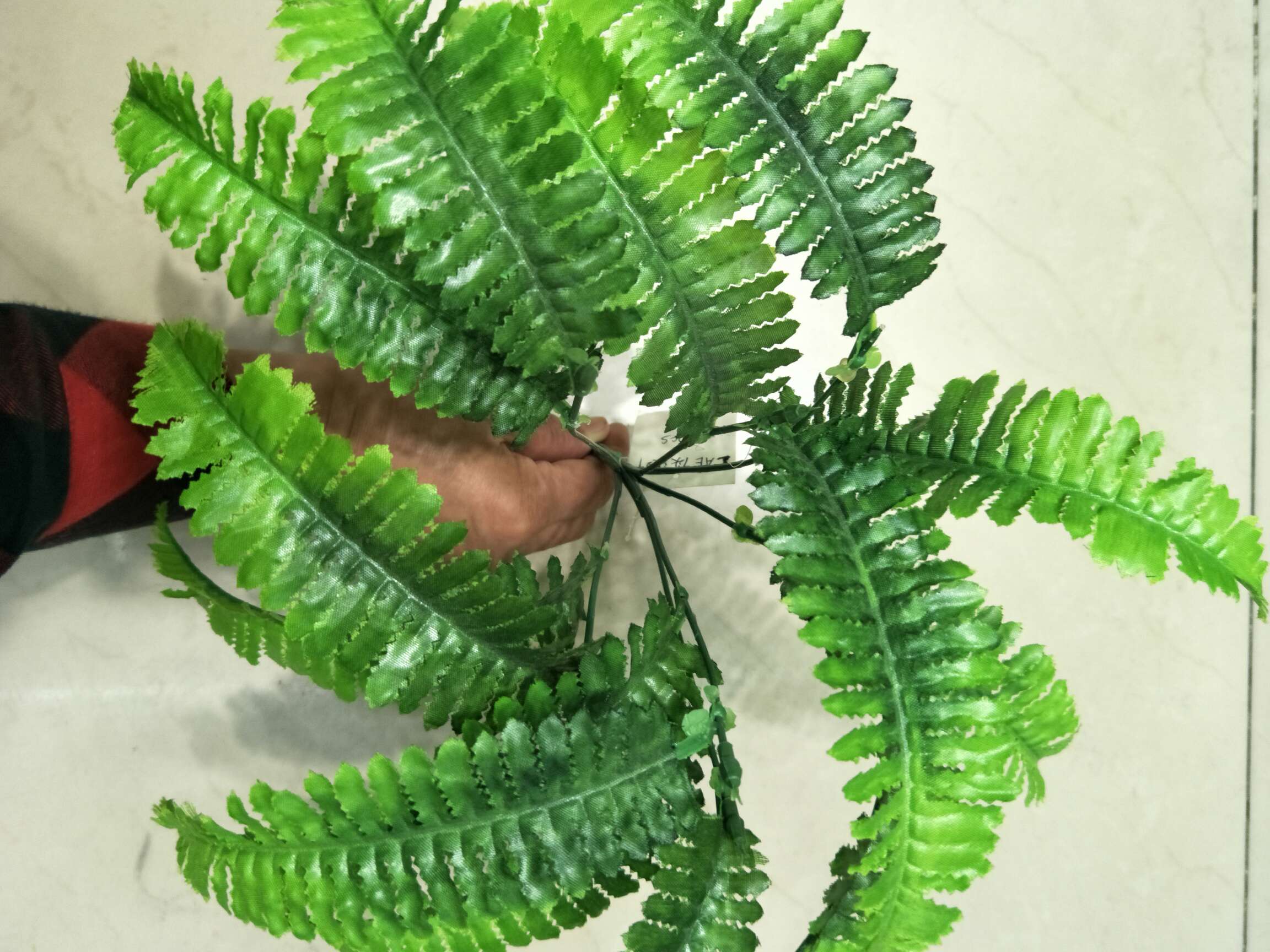 7 fork wave leaves thumbnail