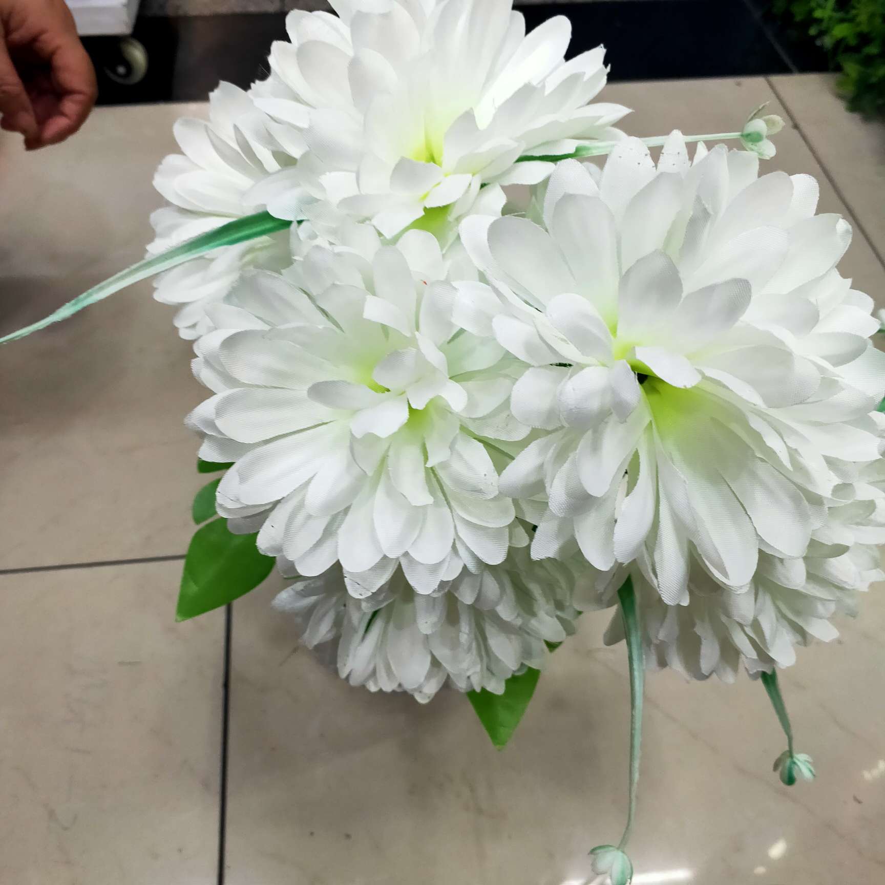 7 the tip chrysanthemum thumbnail