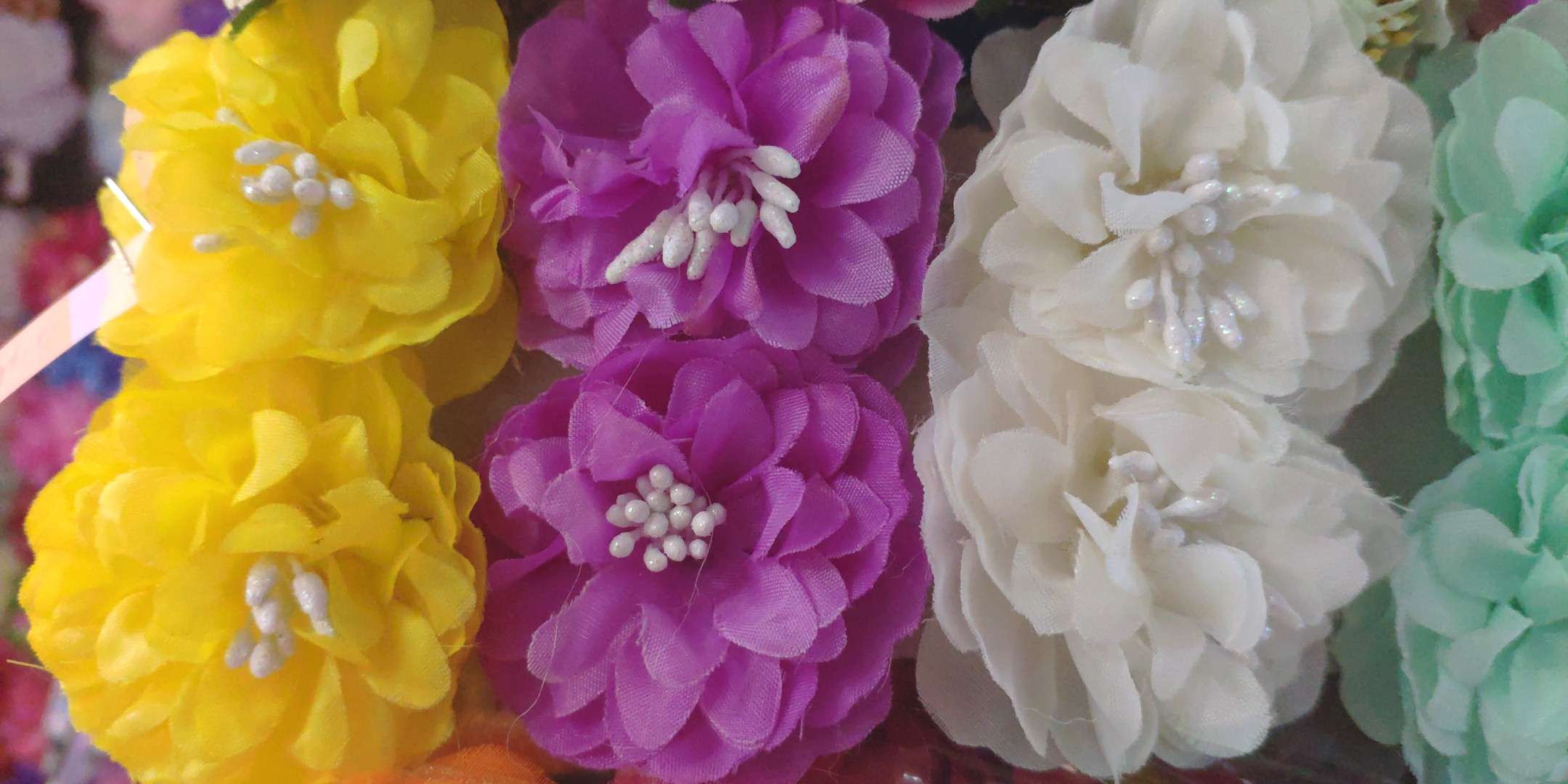 Match, Chinese rose, hydrangea thumbnail