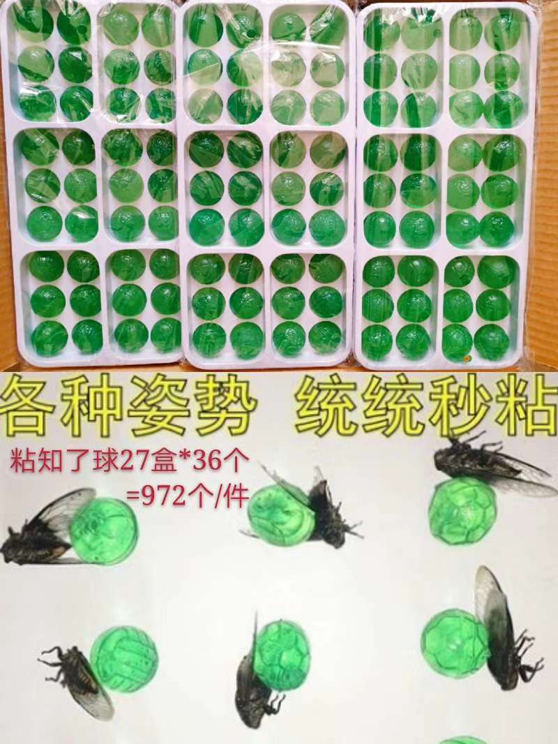 网红款抓知了神奇欣飞塑胶玩具2895-58