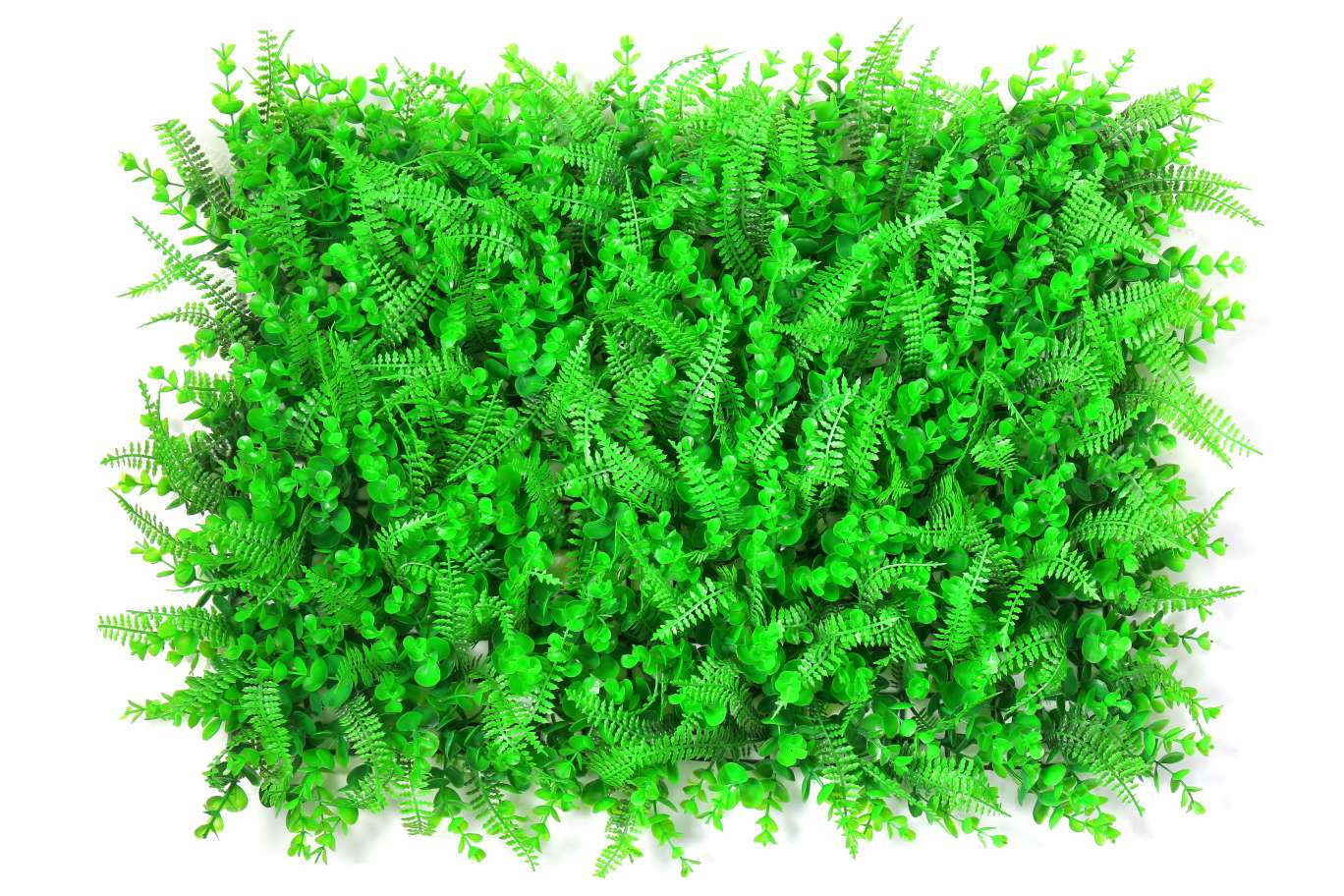 园艺灌溉工具实物图